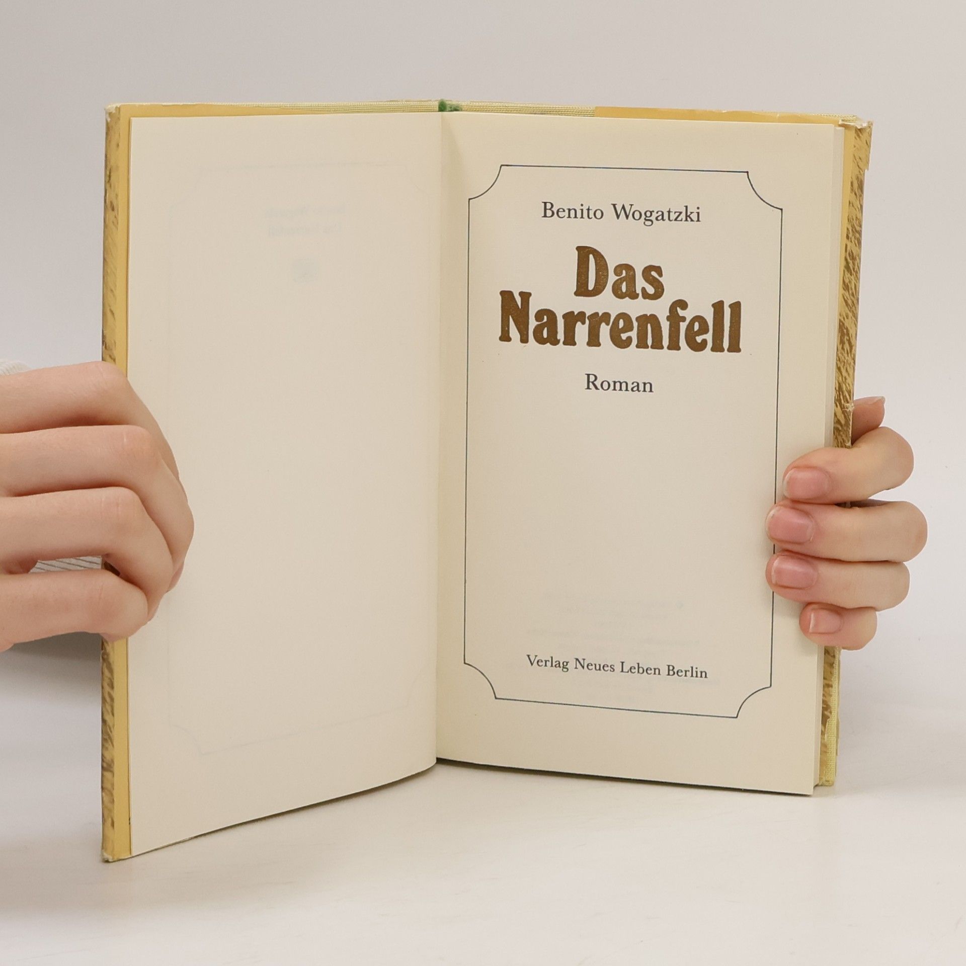 Benito Wogatzki Das Narrenfell