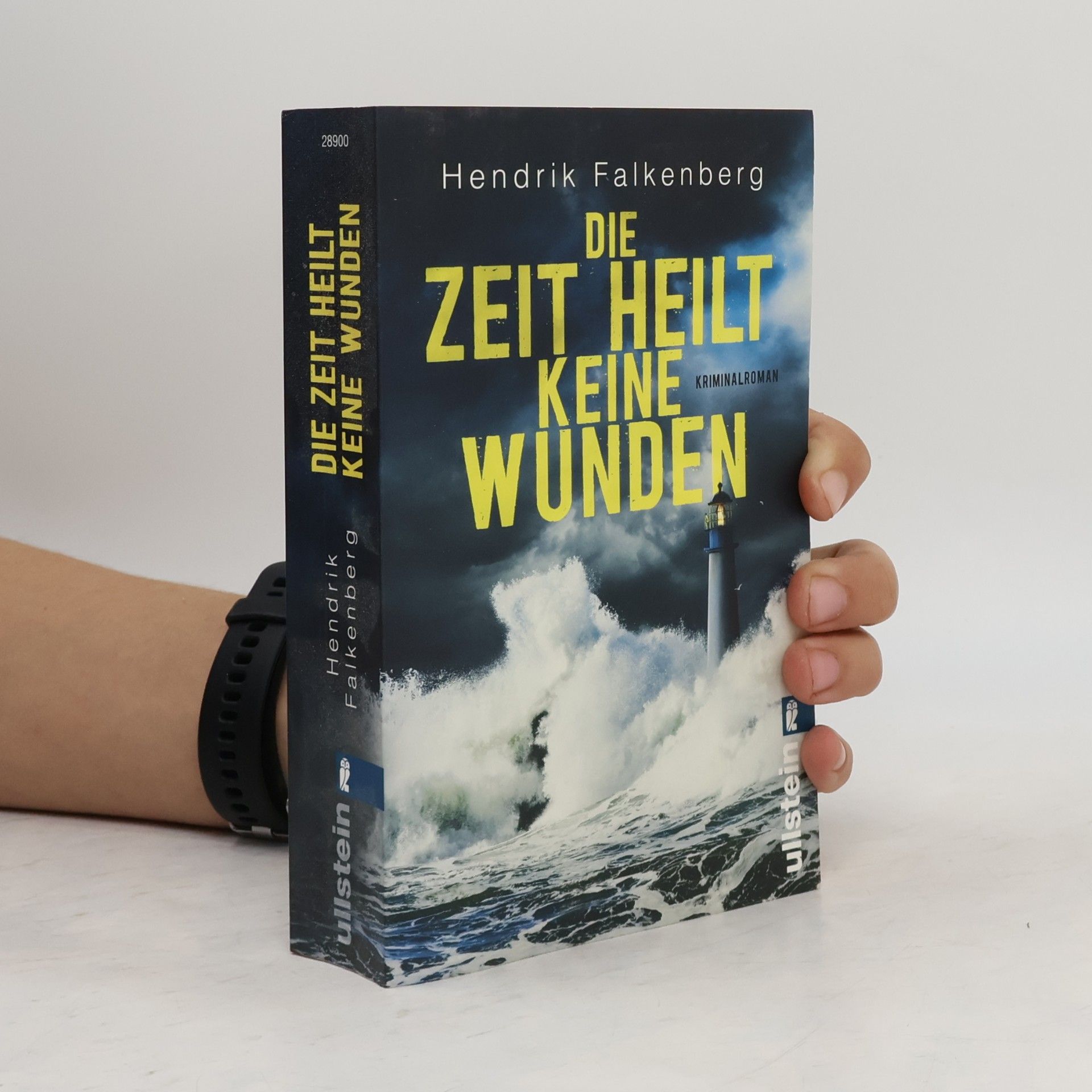 Hendrik Falkenberg Die Zeit heilt keine Wunden