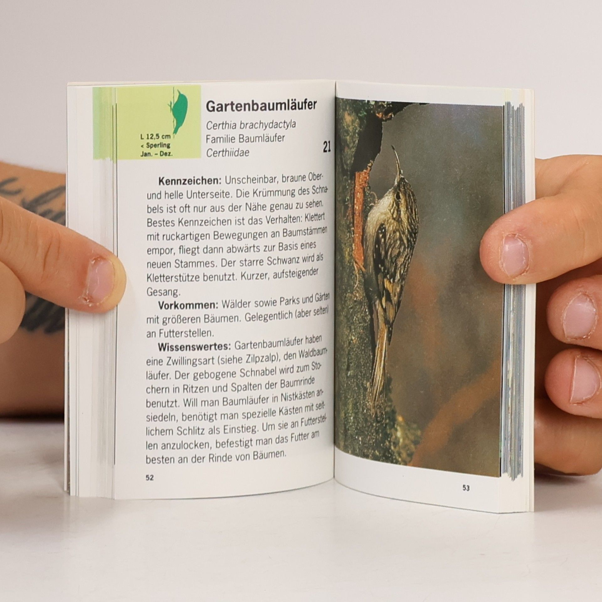 Rudolf Specht Unsere Gartenvögel und ihre Gesänge, m. Cassette