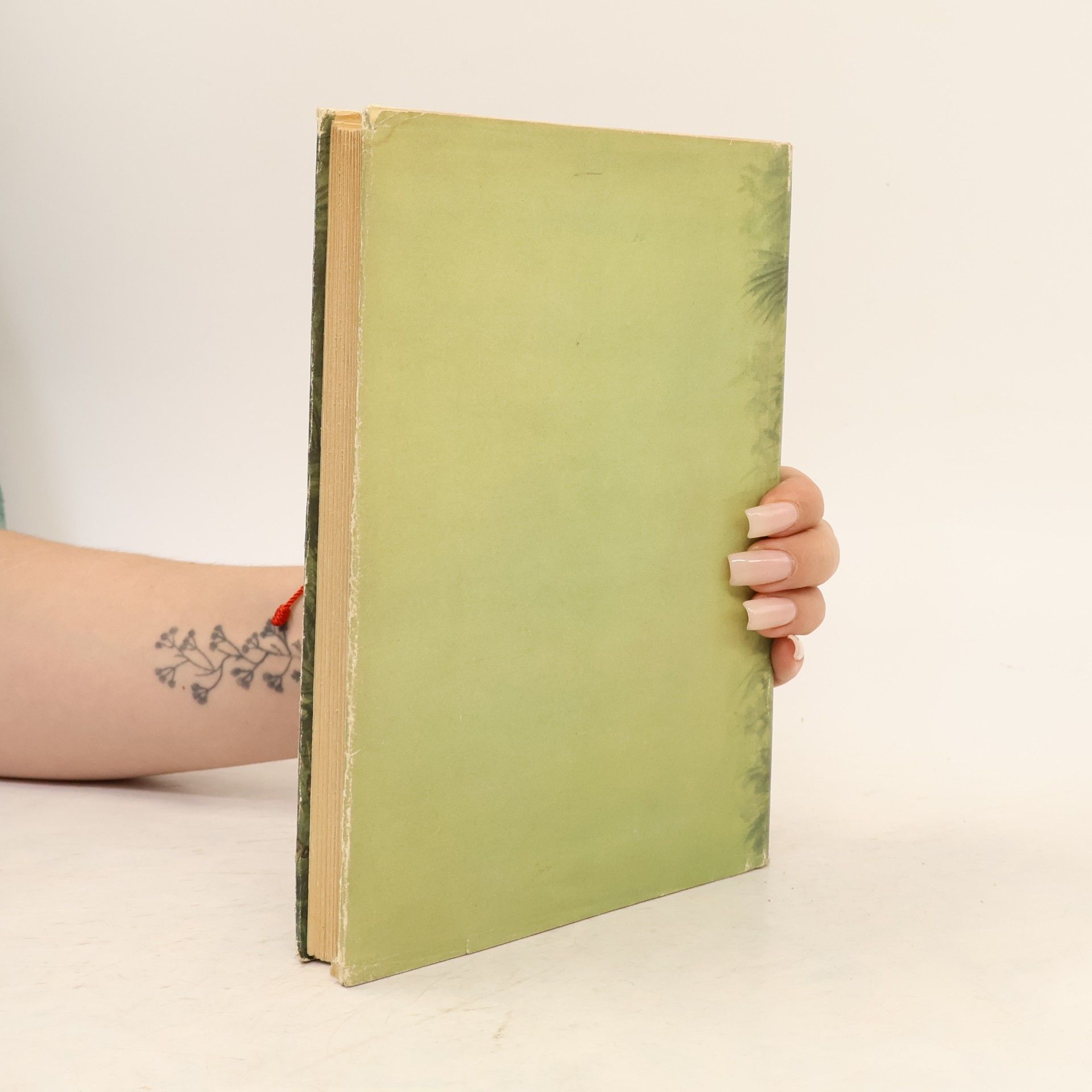 Sophie Wörishöffer Kreuz und quer durch Indien