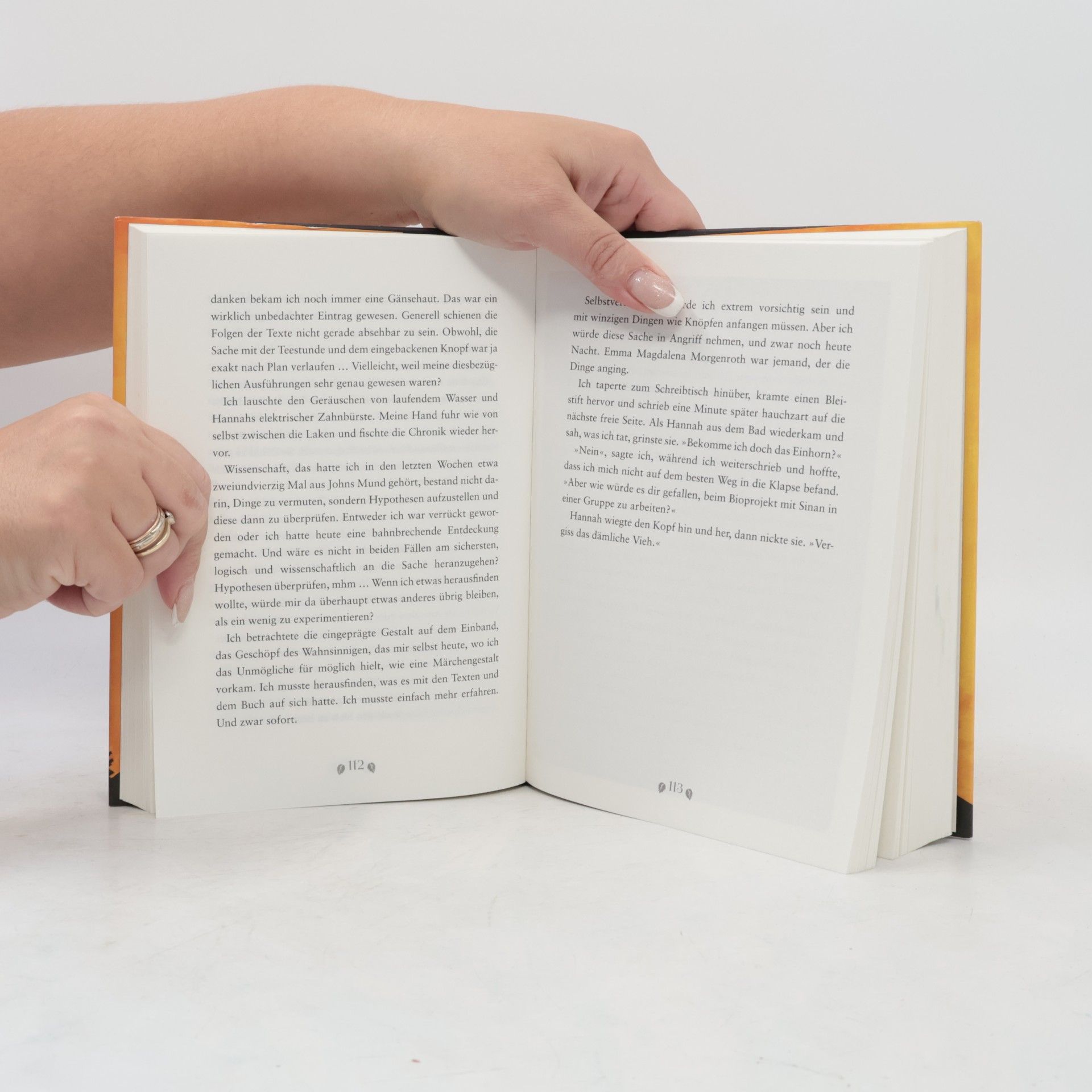 Mechthild Gläser Emma, der Faun und das vergessene Buch
