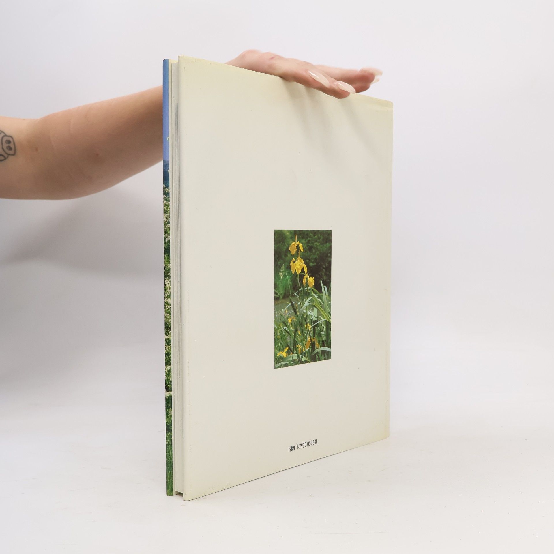 Arno Bogenrieder Reichtum Natur