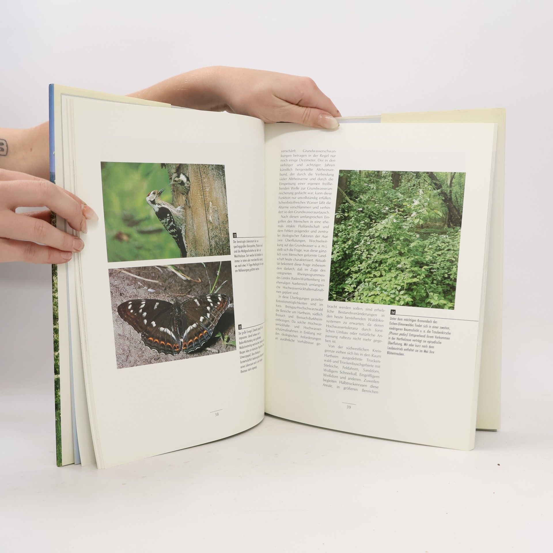 Arno Bogenrieder Reichtum Natur