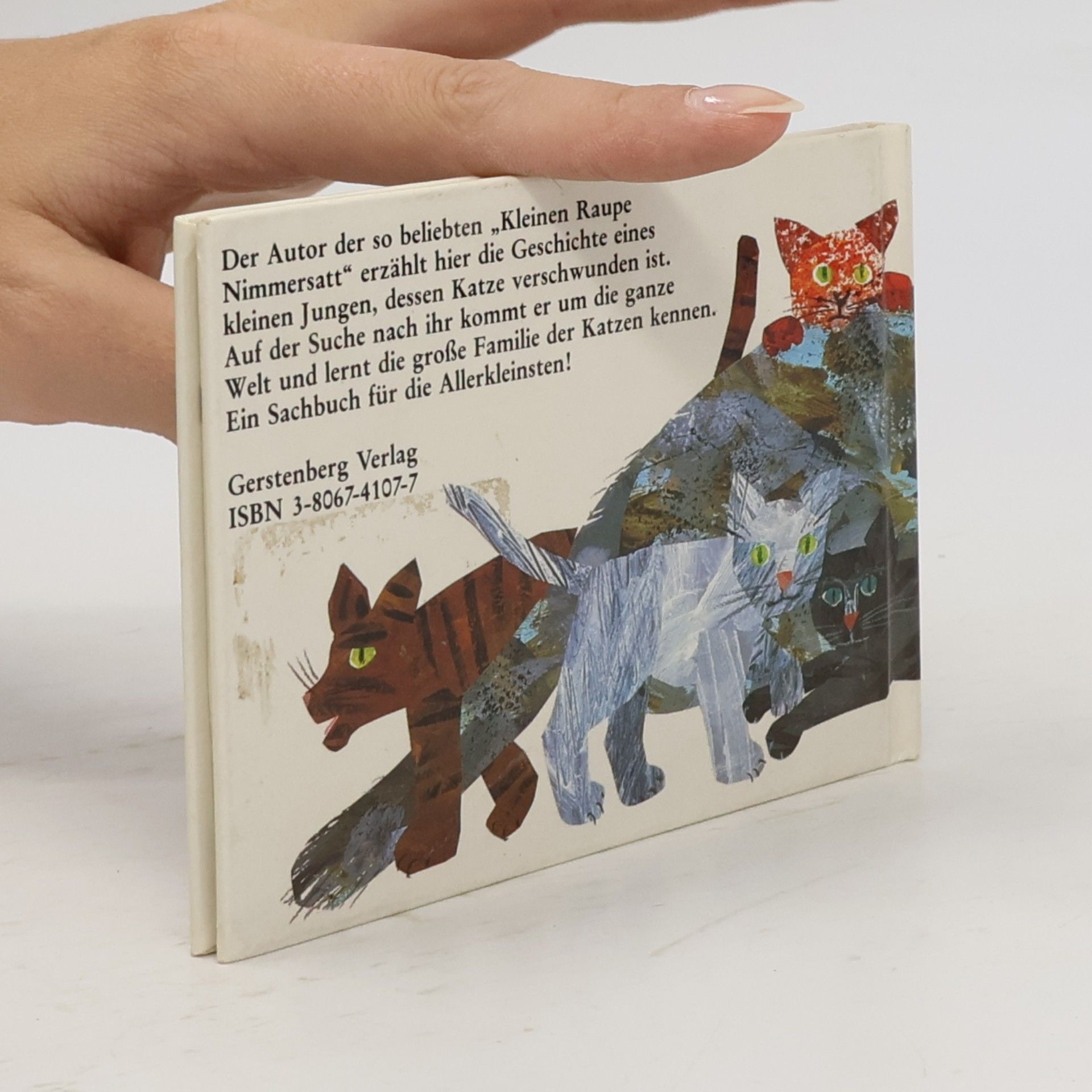 Eric Carle Wo mag nur meine Katze sein?
