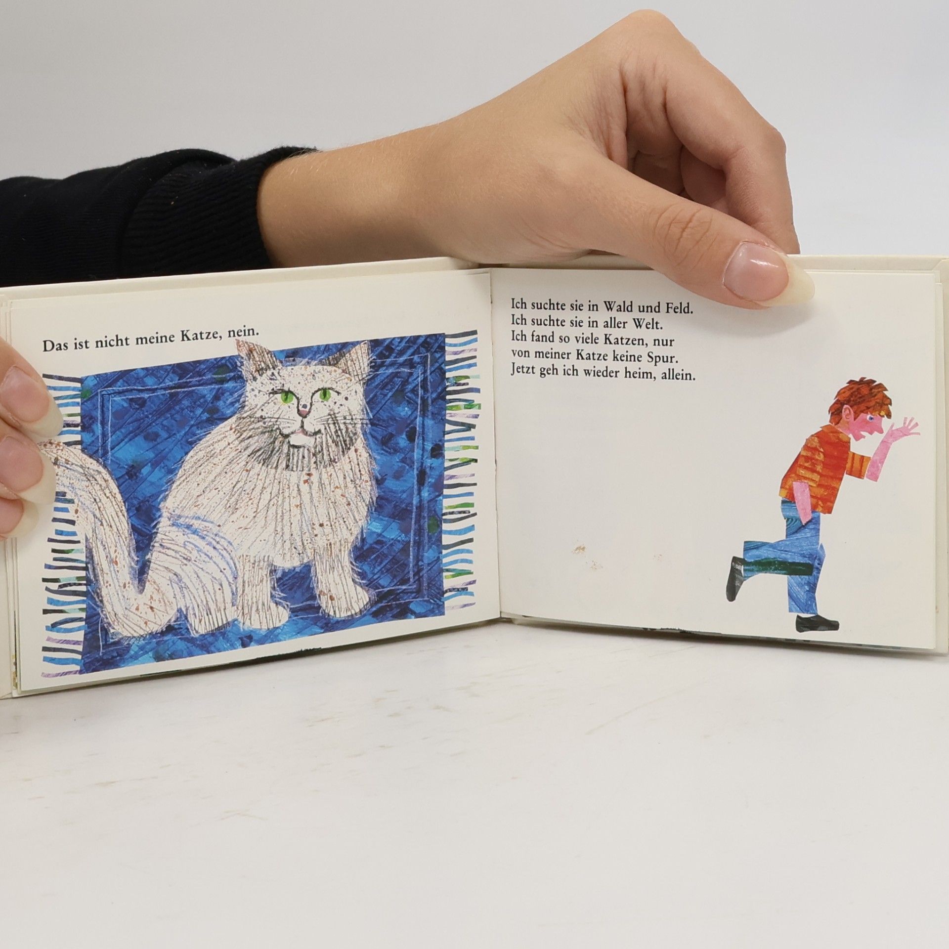 Eric Carle Wo mag nur meine Katze sein?