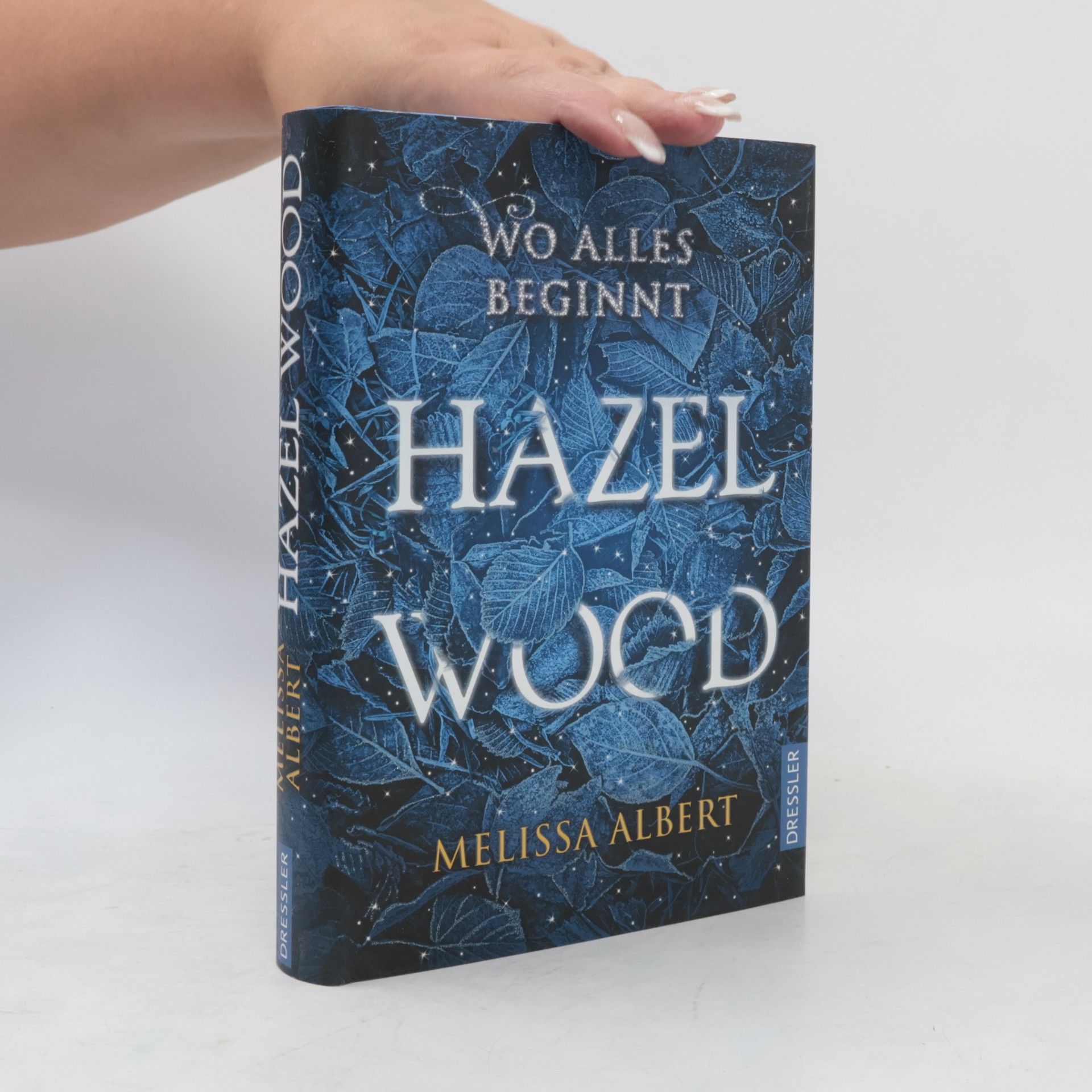 Melissa Albert Hazel Wood: Wo alles beginnt