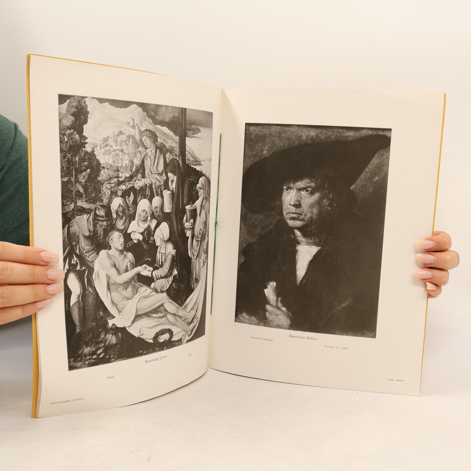 Prof. Th. Wedepohl Dürer-Album