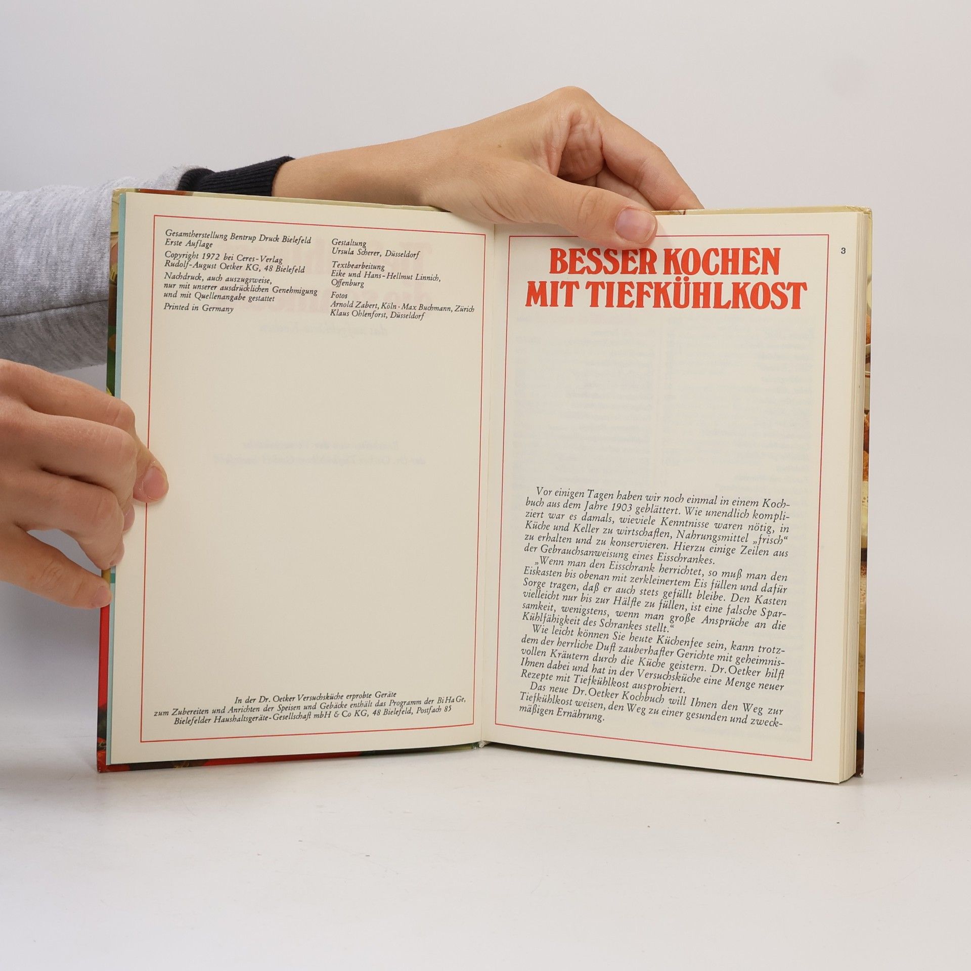 kolektiv Tiefkuhlkost die schmeckt