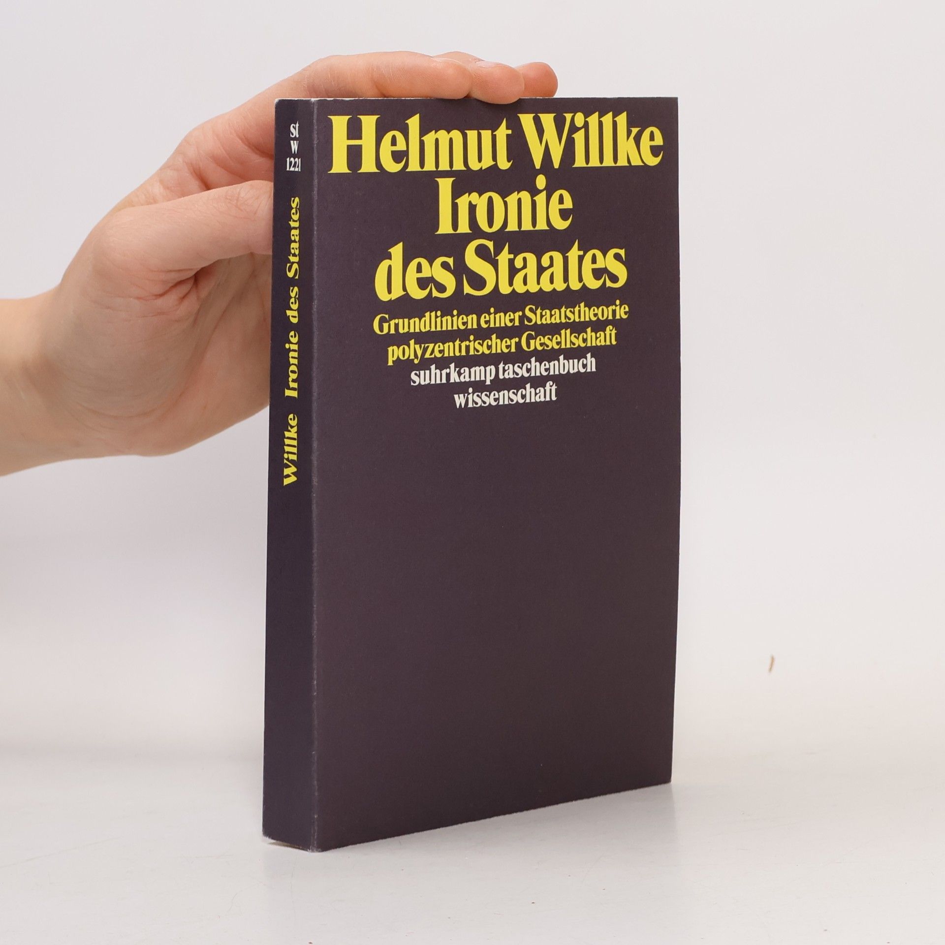 Helmut Willke Suhrkamp Taschenbuch Wissenschaft - 1221: Ironie des Staates