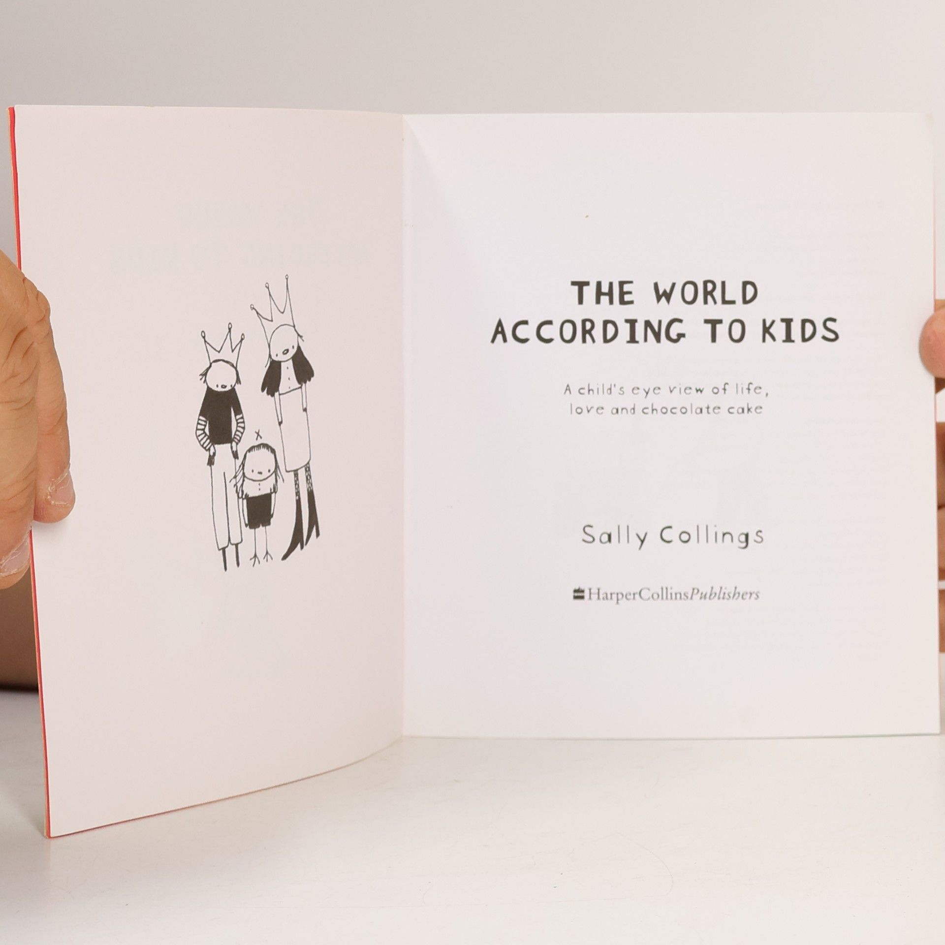 Sally Collings The World According to Kids