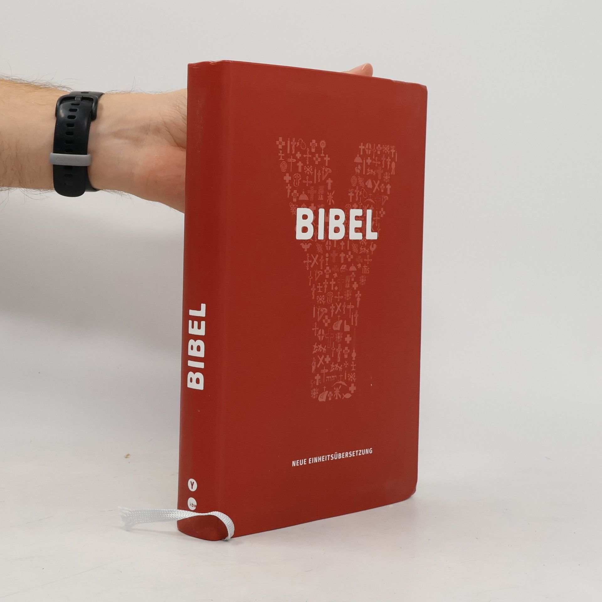 Bibel. Jugendbibel der Katholischen Kirche. Mit einem Vorwort von Papst Franziskus. Neue Einheitsübersetzung