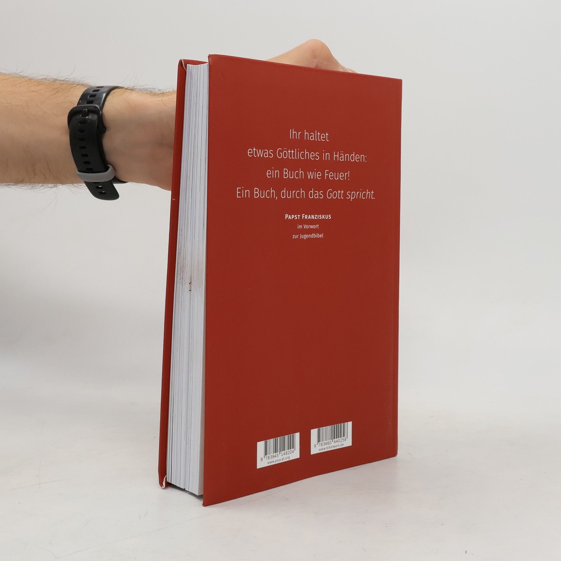 G. Fischer Bibel. Jugendbibel der Katholischen Kirche. Mit einem Vorwort von Papst Franziskus. Neue Einheitsübersetzung