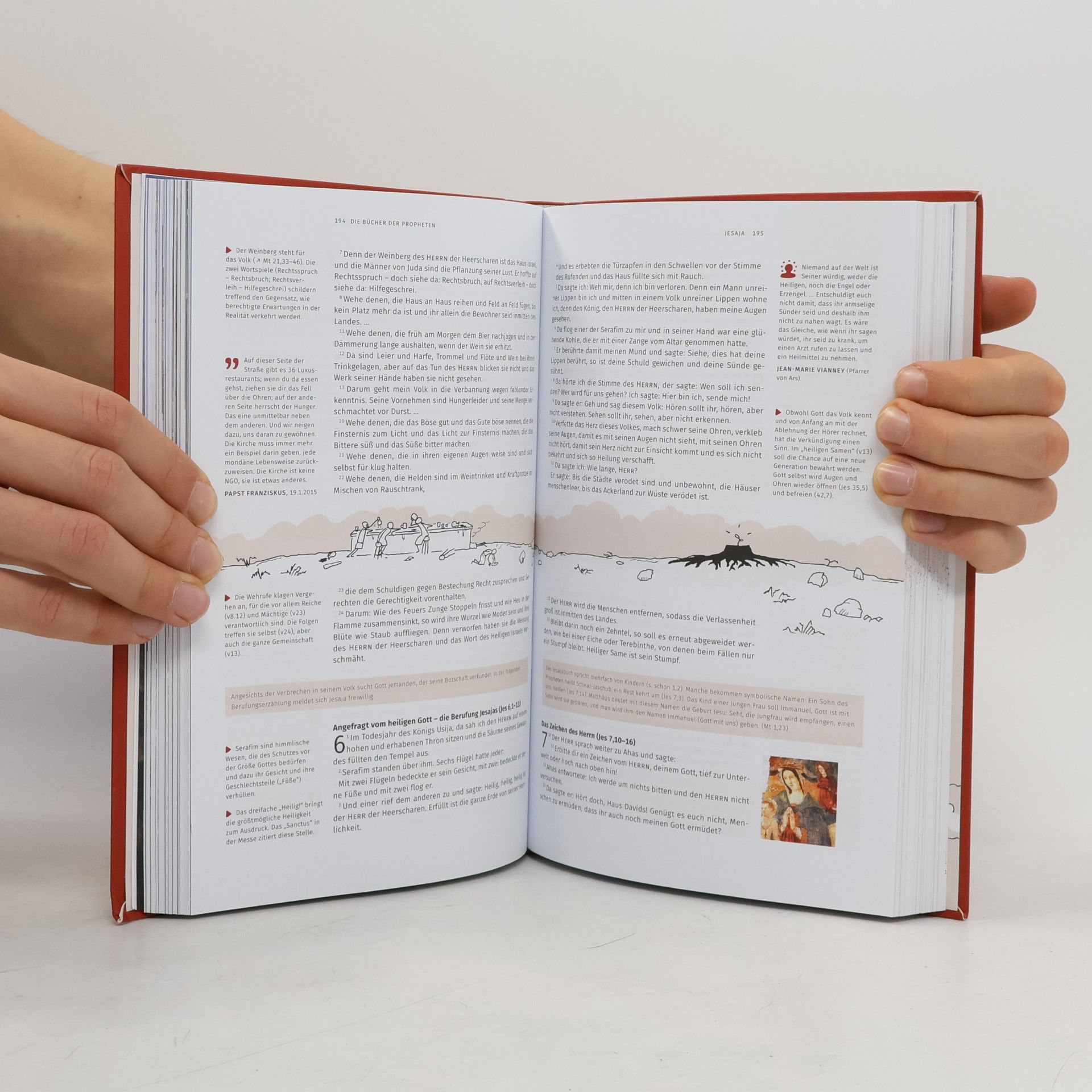 G. Fischer Bibel. Jugendbibel der Katholischen Kirche. Mit einem Vorwort von Papst Franziskus. Neue Einheitsübersetzung