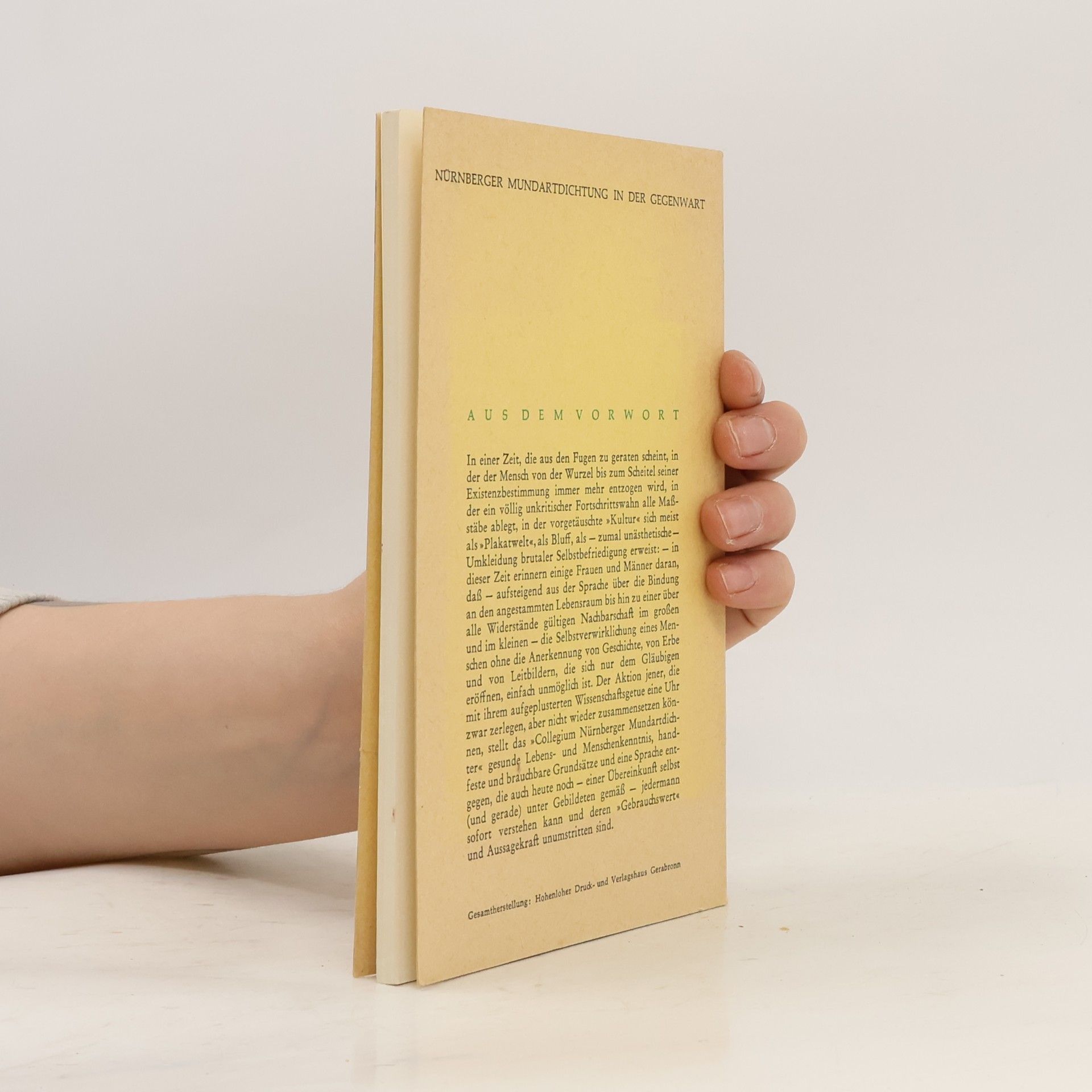 Autorenkollektiv Nürnberger Luginsland