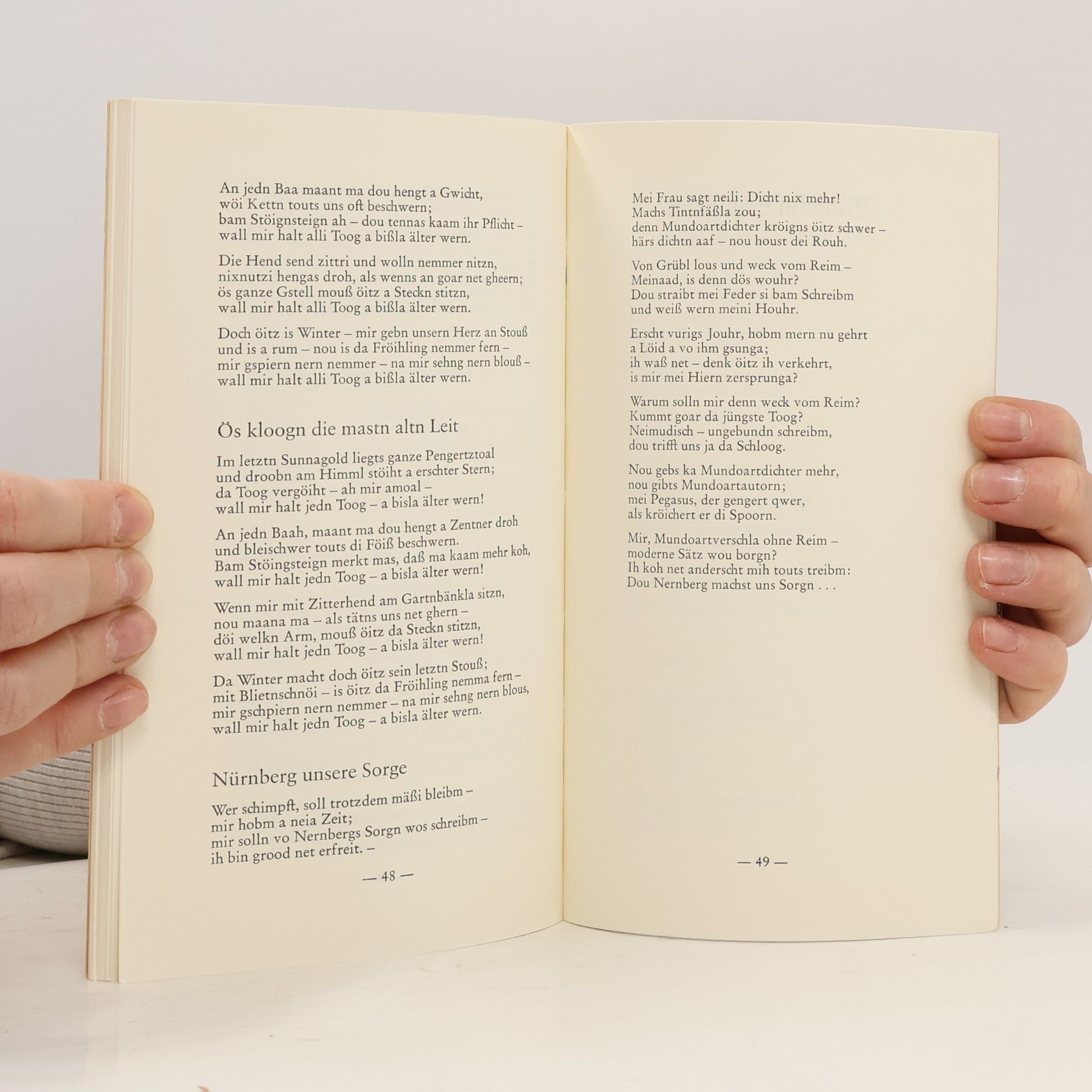 Autorenkollektiv Nürnberger Luginsland