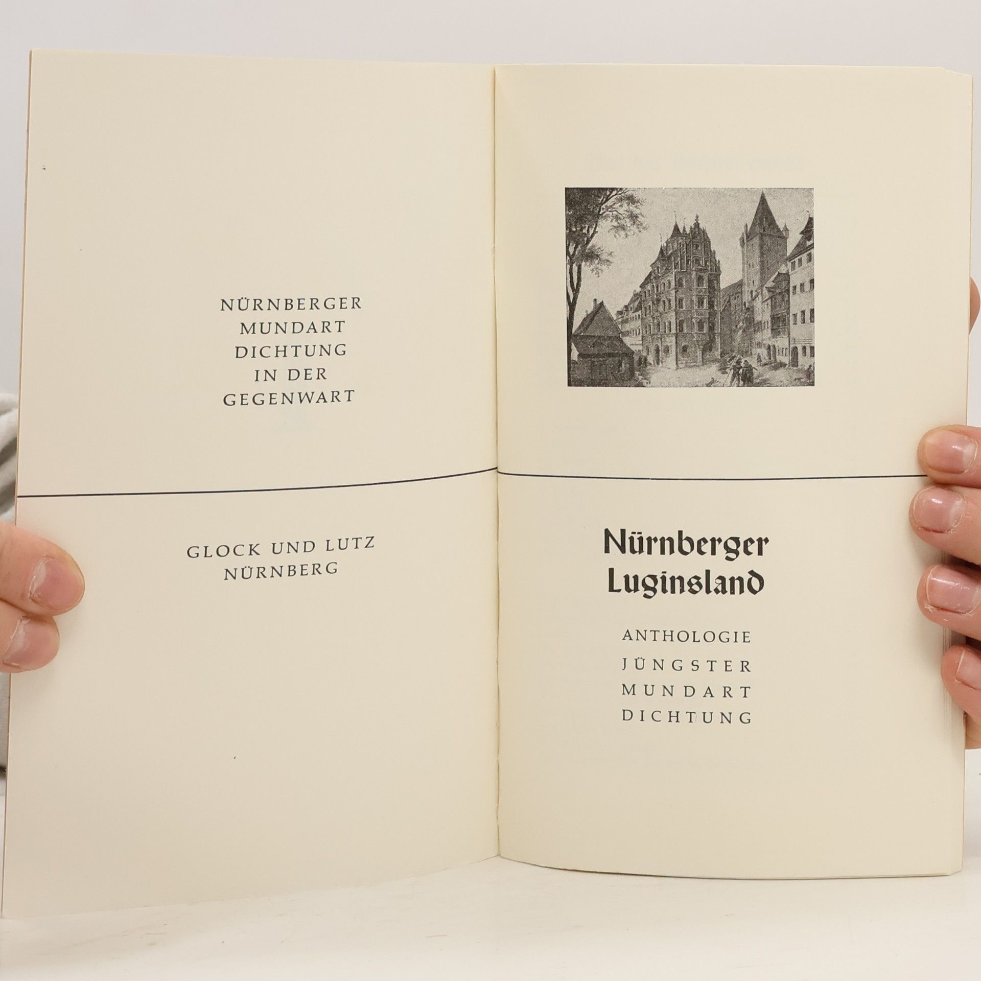 Autorenkollektiv Nürnberger Luginsland