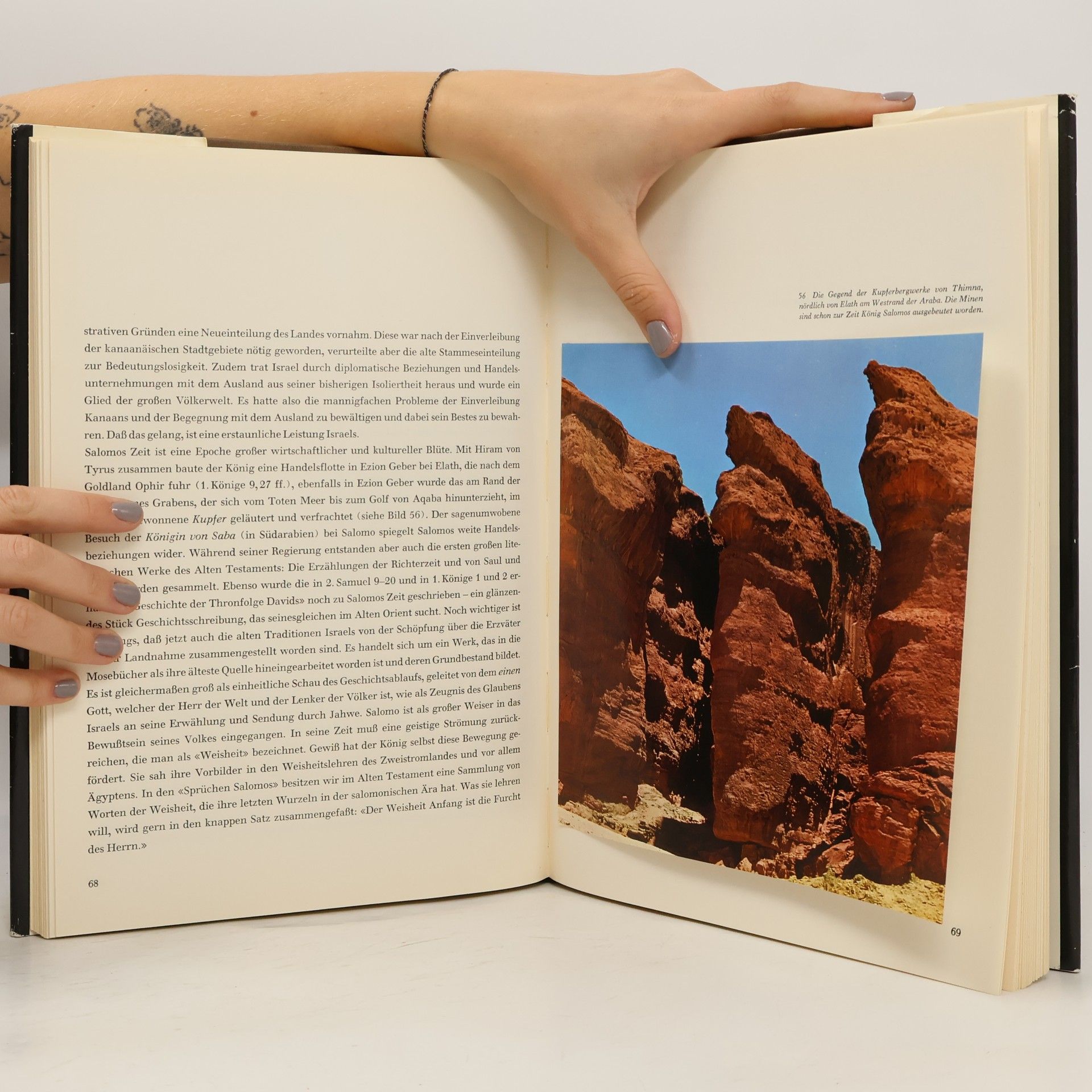 Hans Wildberger Biblische Welt