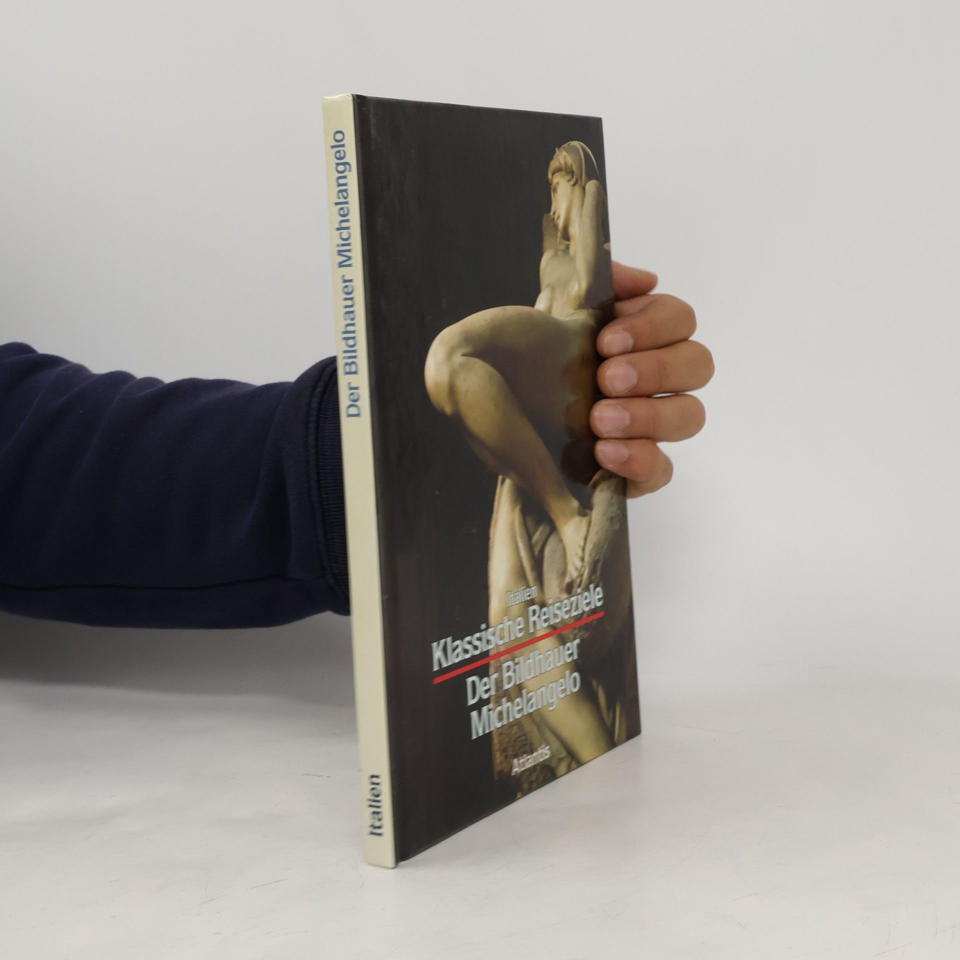 Der Bildhauer Michelangelo