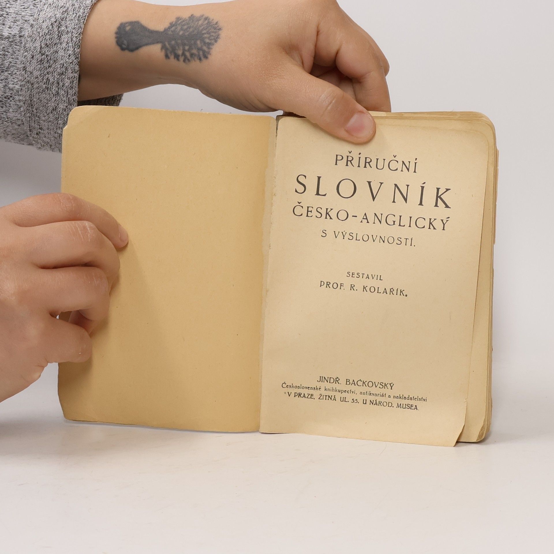 kolektiv Bačkovského příruční slovník. Česko-anglický