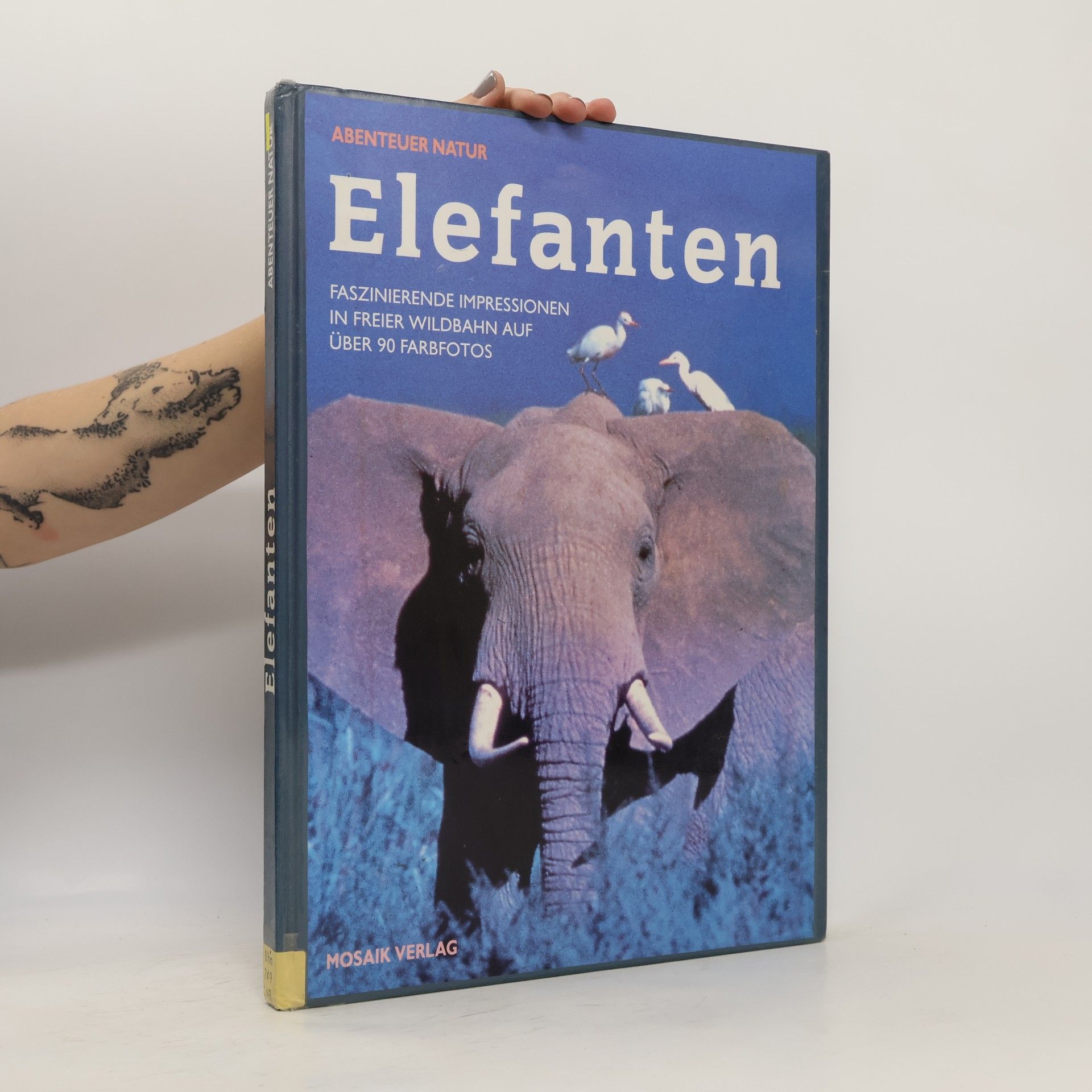 Jean Larivère Elefanten