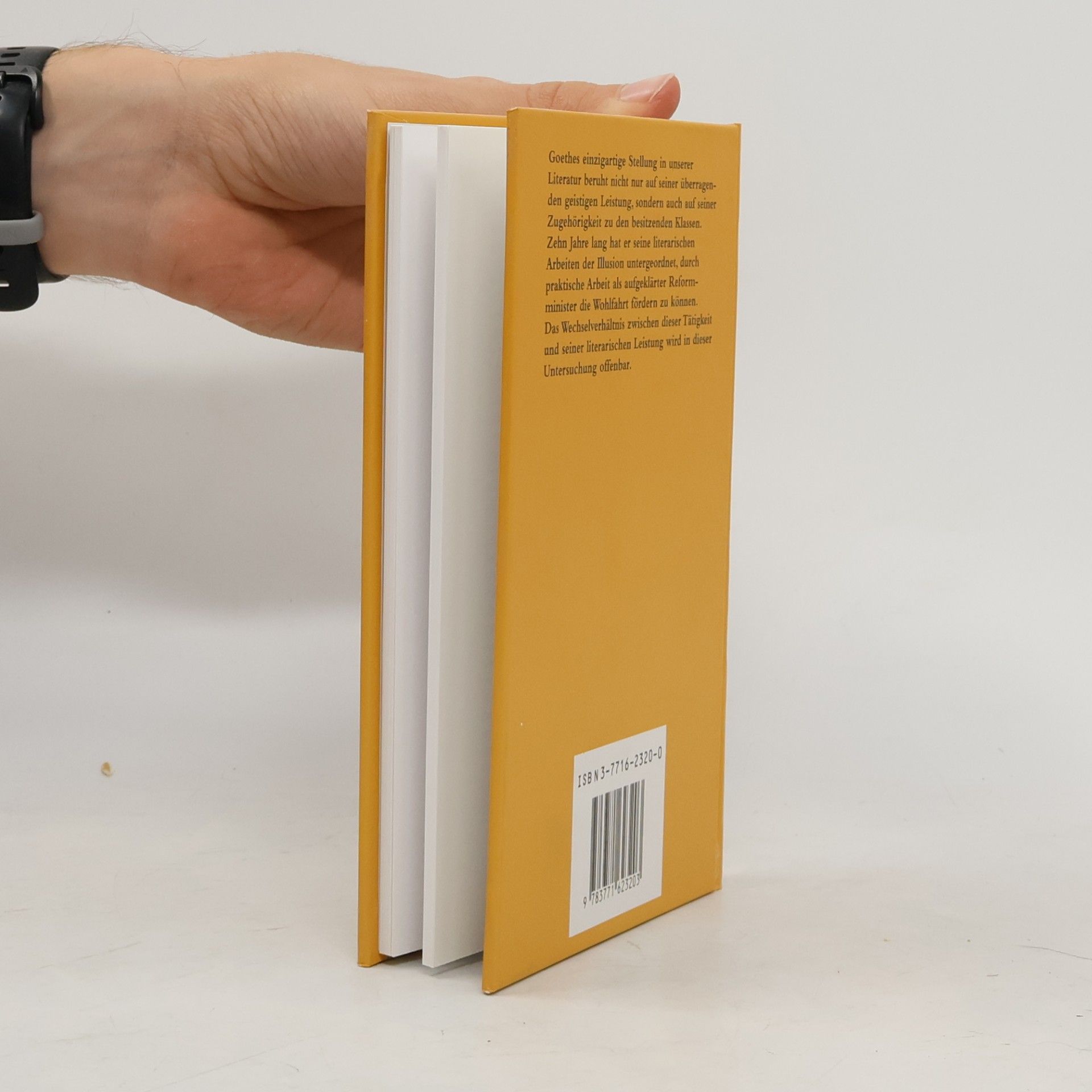 Ulrich Küntzel Die Geschäfte des Herrn Goethe