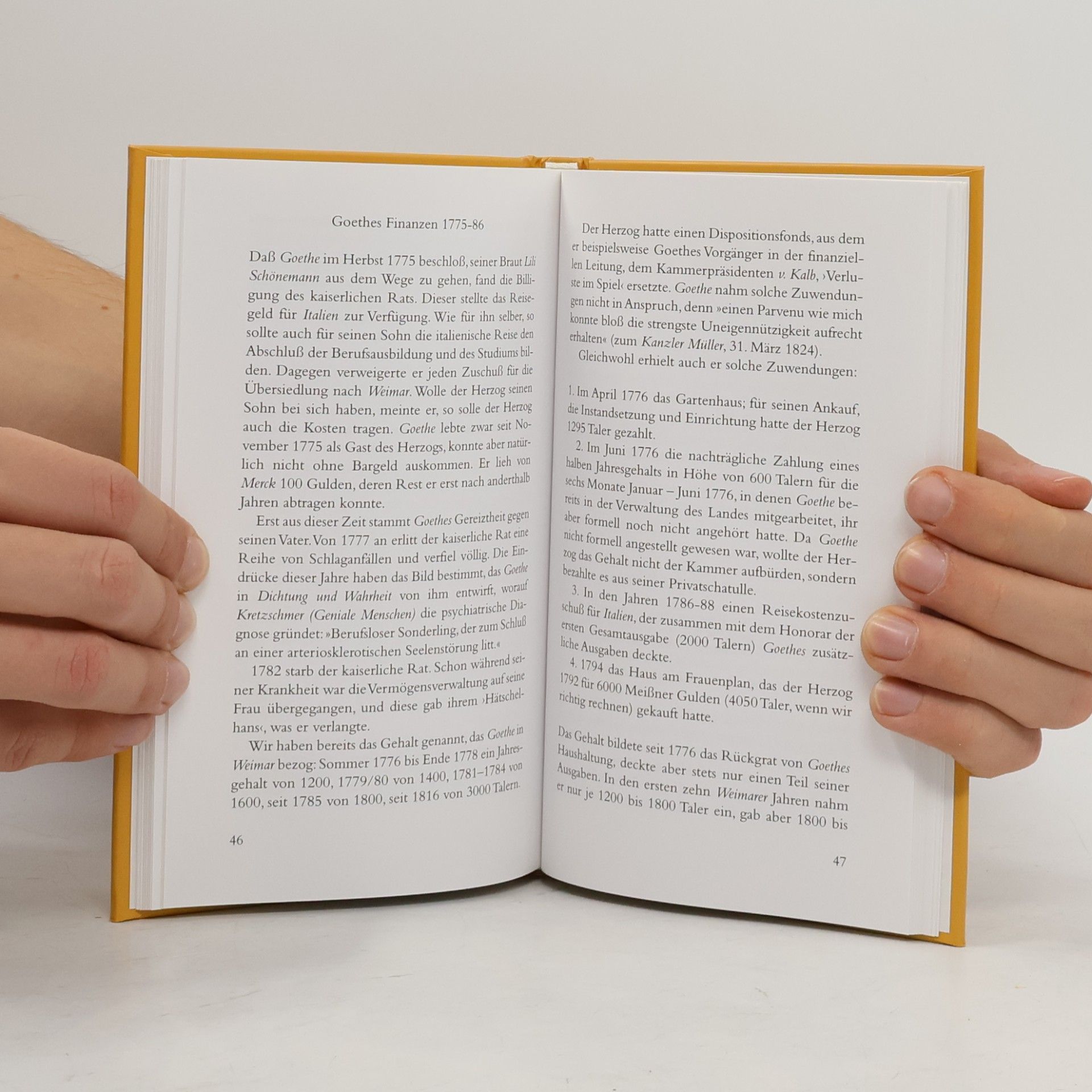 Ulrich Küntzel Die Geschäfte des Herrn Goethe