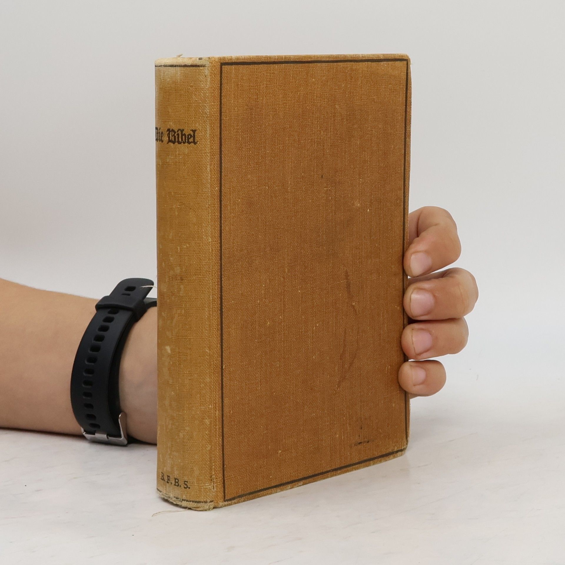 Martin Luther Die Bibel