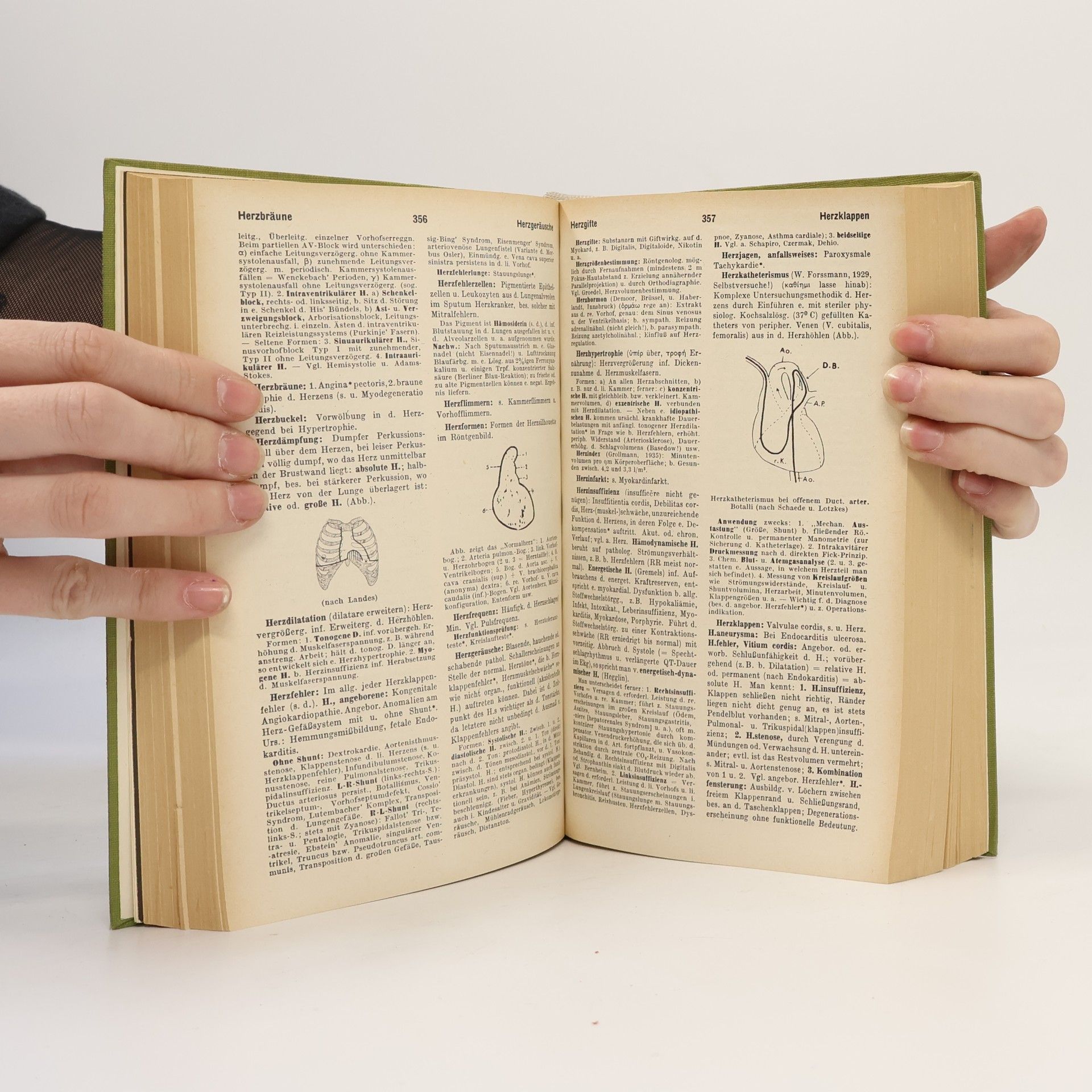 Autorenkollektiv Pschyrembel Klinisches Wörterbuch