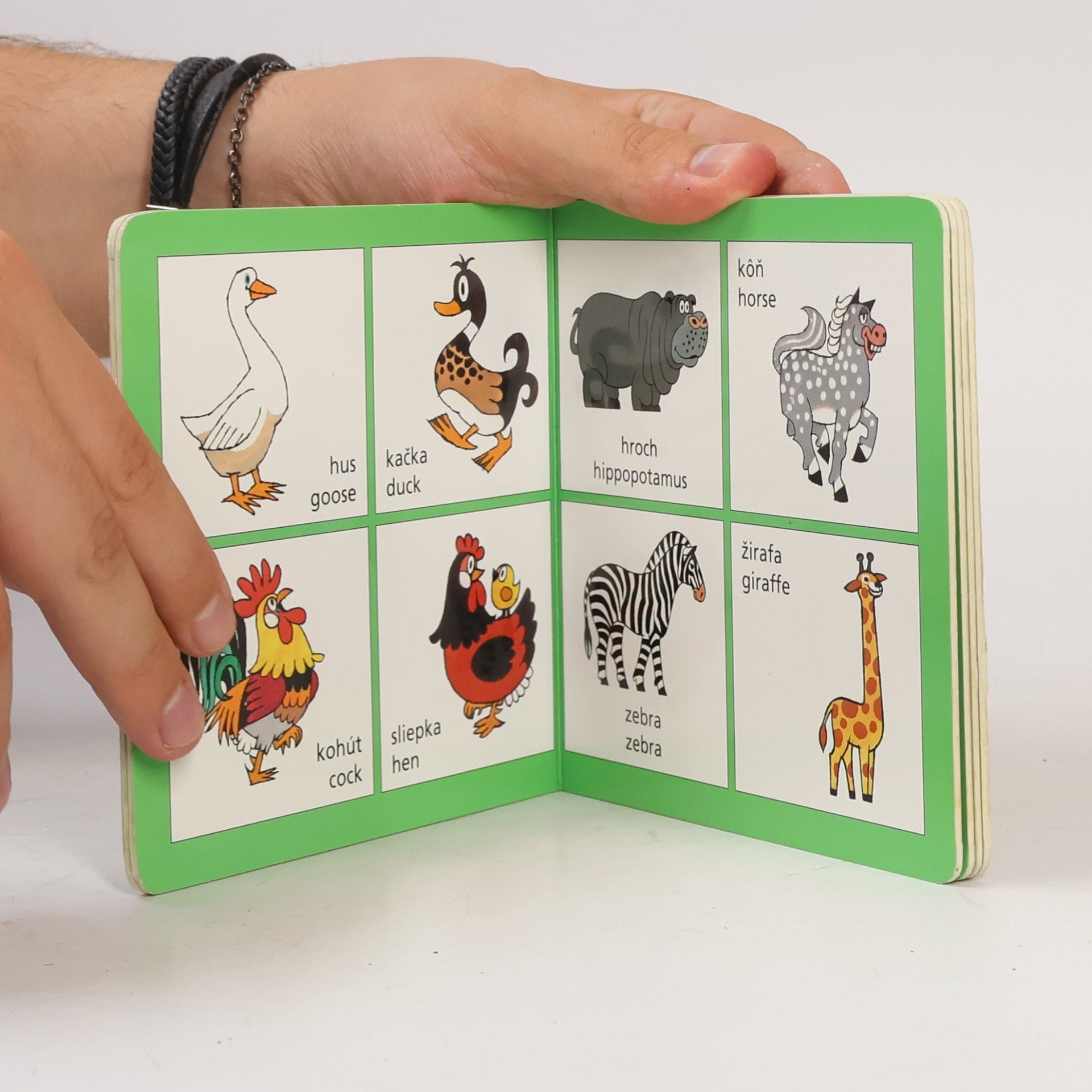 Kolektiv autorů Krtko a kamaráti