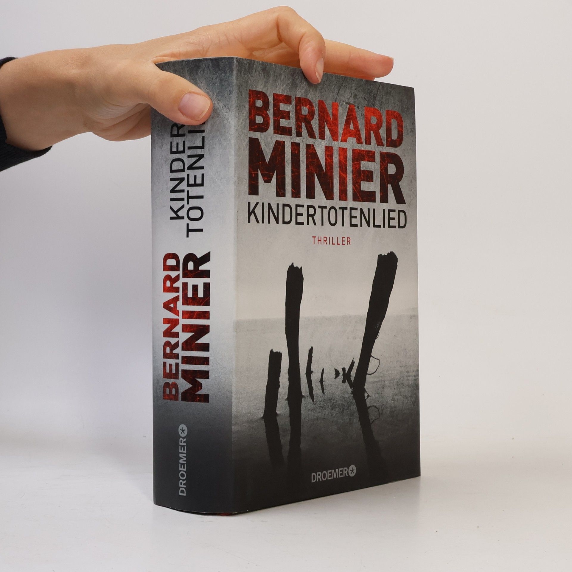 Bernard Minier Kindertotenlied