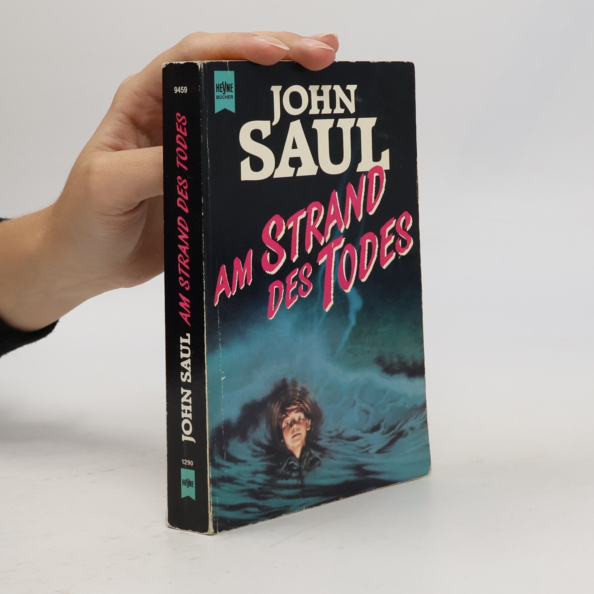 John Saul Am Strand des Todes