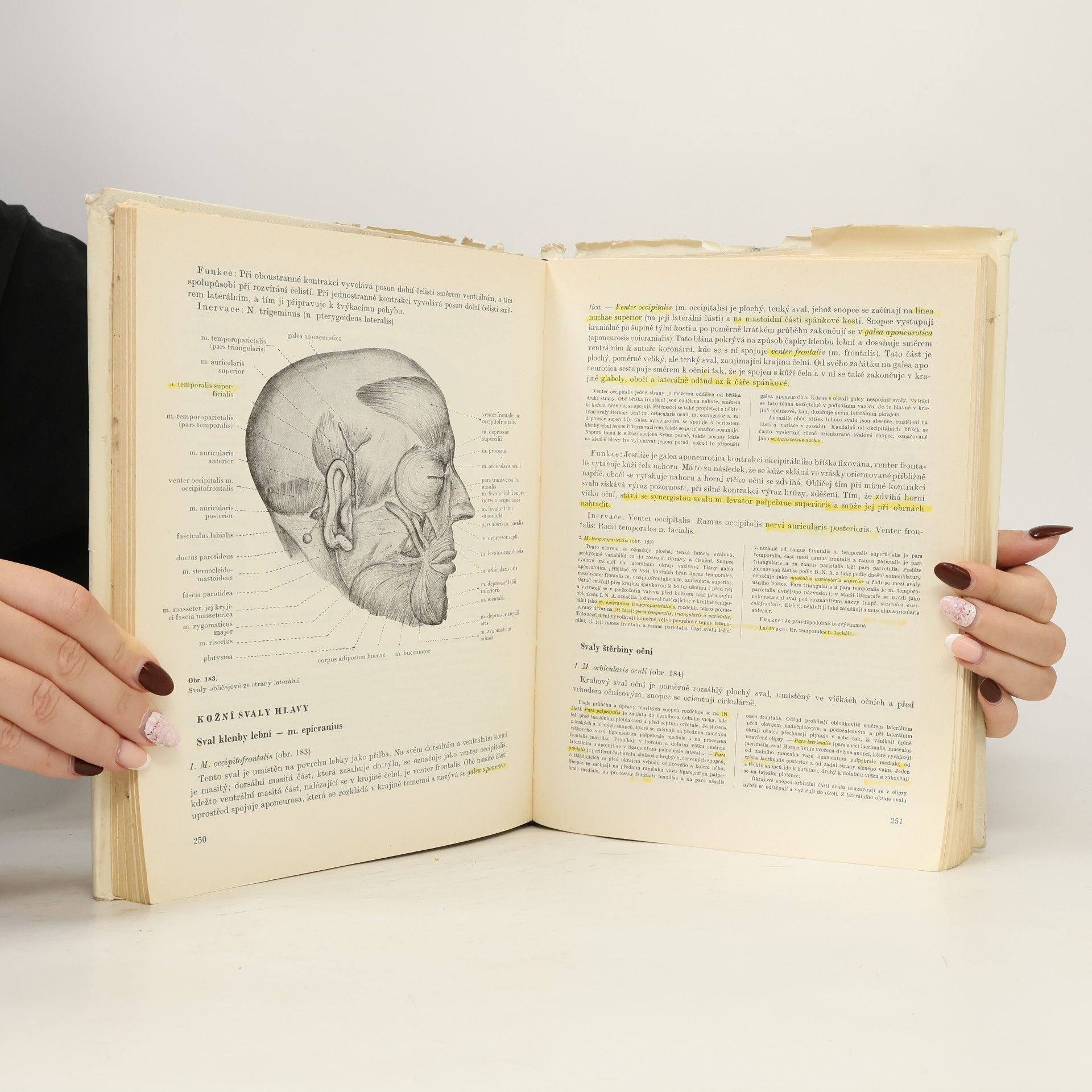 Ladislav Borovanský Soustavná anatomie člověka I