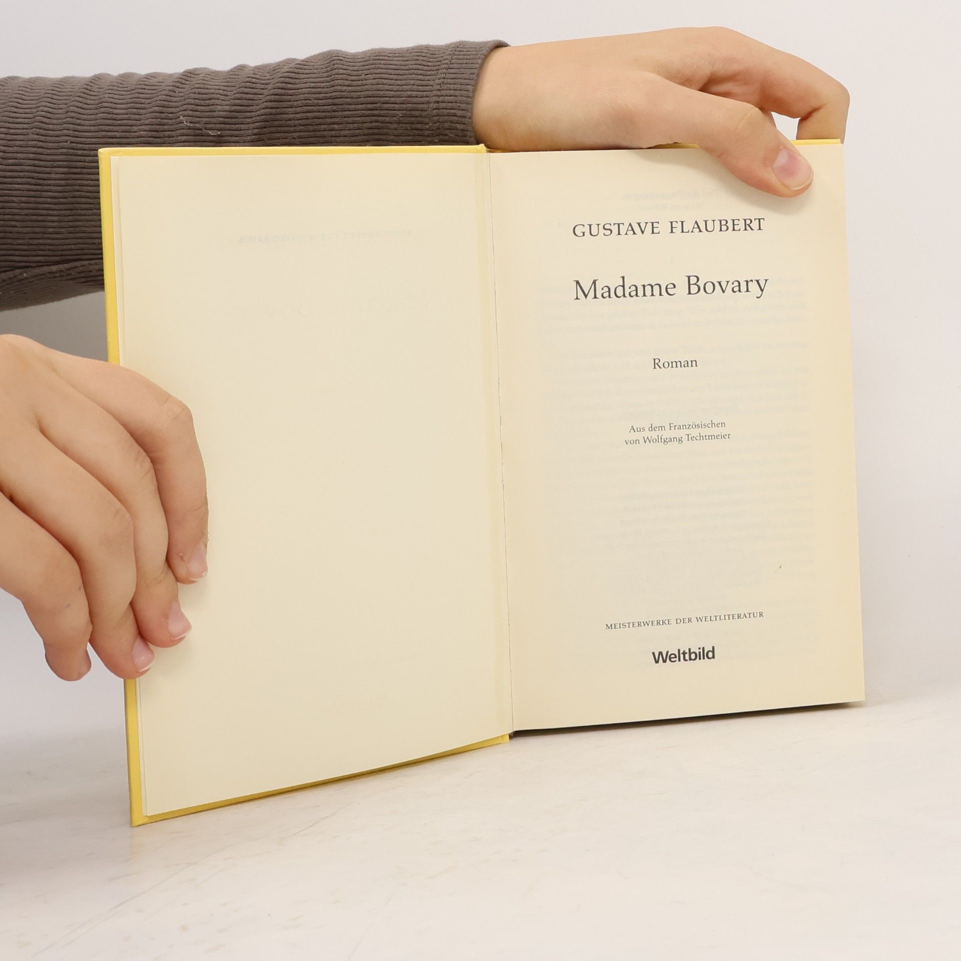 Gustave Flaubert Madame Bovary