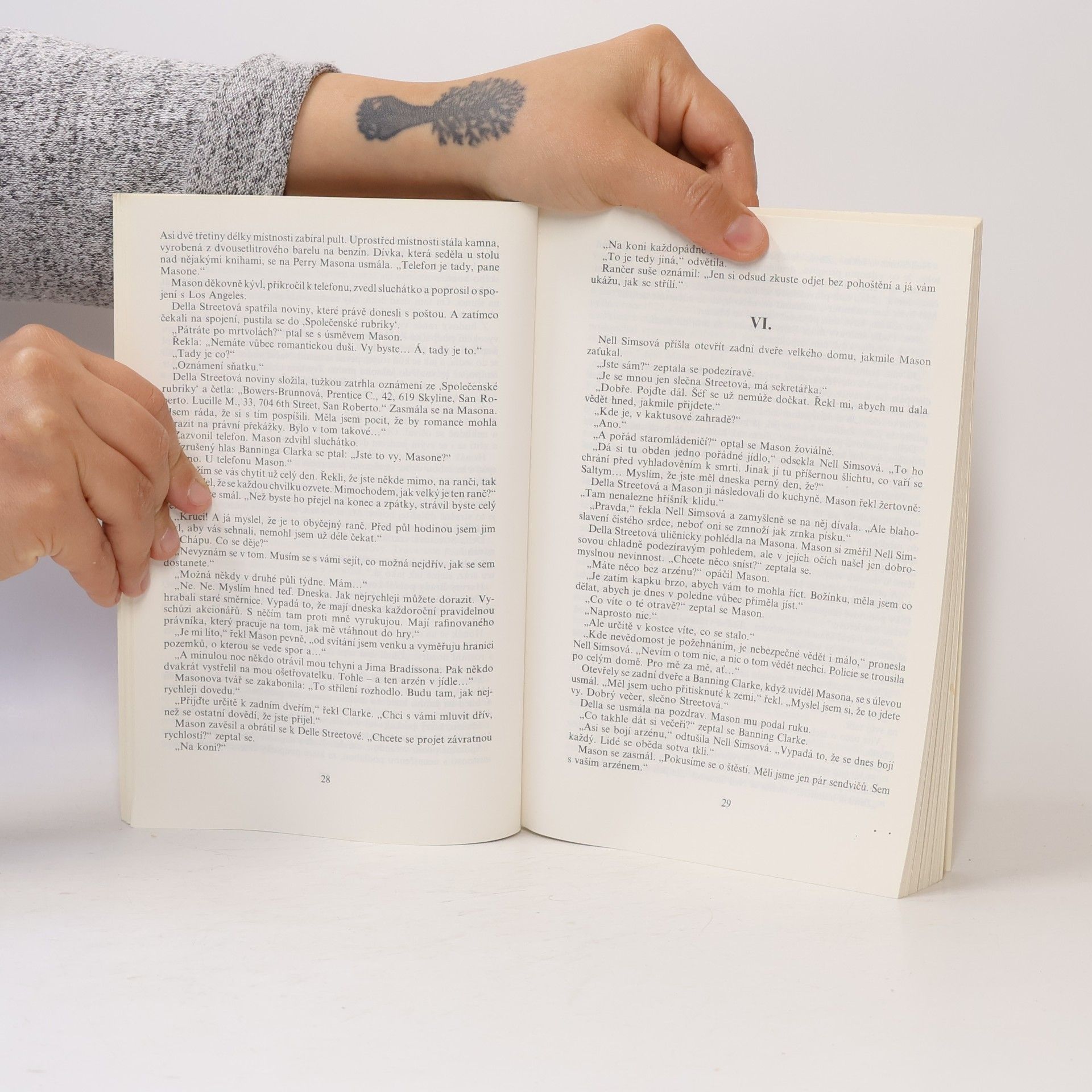 Erle Stanley Gardner Případ malátného moskyta