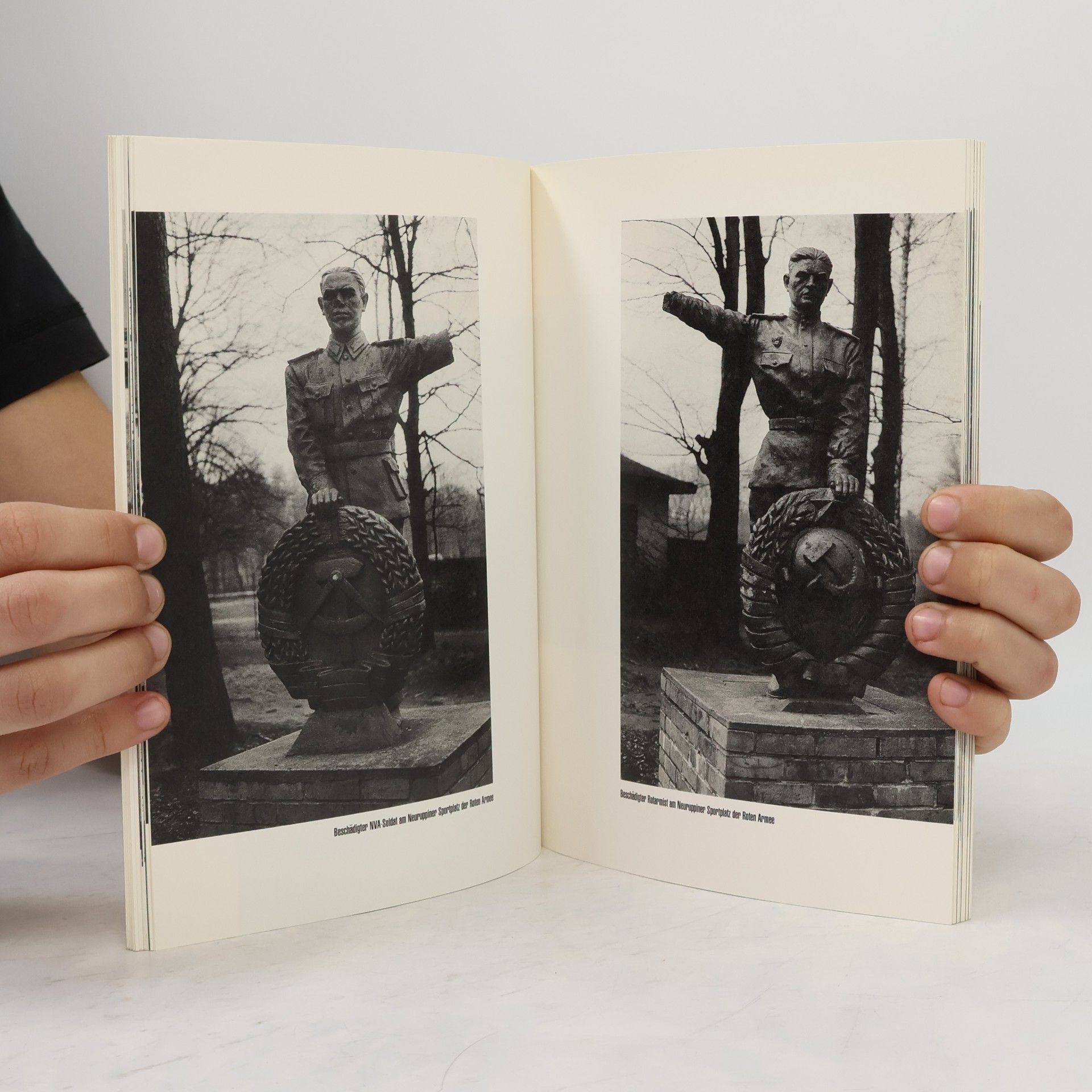 Jonas Maron Rororo Sachbuch - 8553: Innenansichten DDR