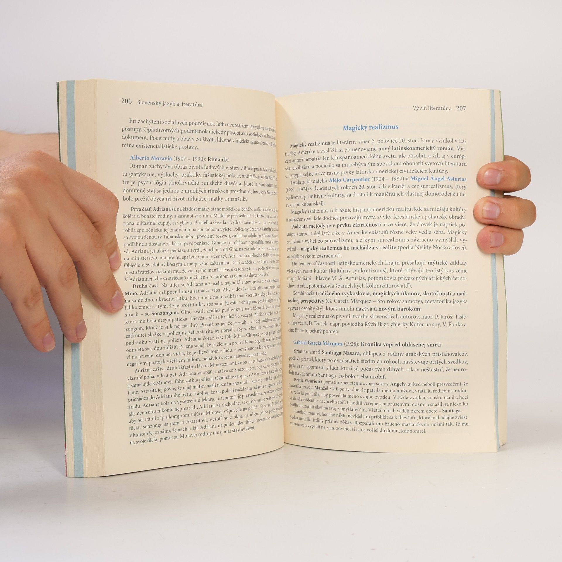Milada Caltíková Slovenský jazyk a literatúra