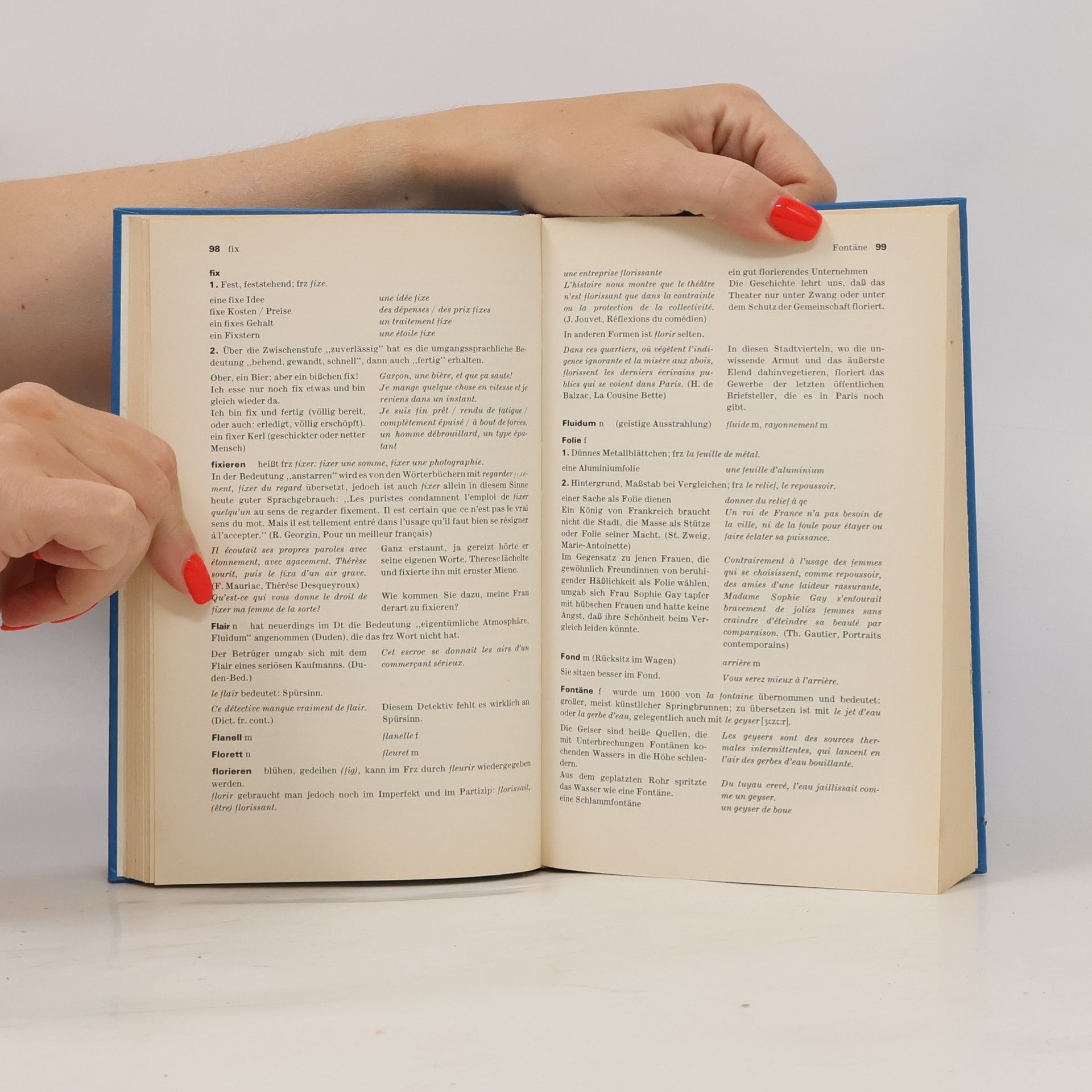 Hans-Wilhelm Klein Schwierigkeiten des deutsch-französischen Wortschatzes