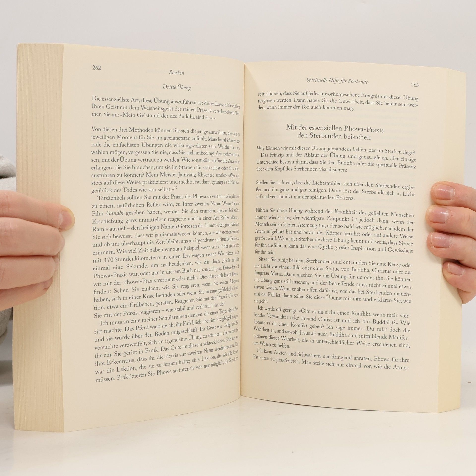 Sogyal Rinpoche Das tibetische Buch vom Leben und vom Sterben