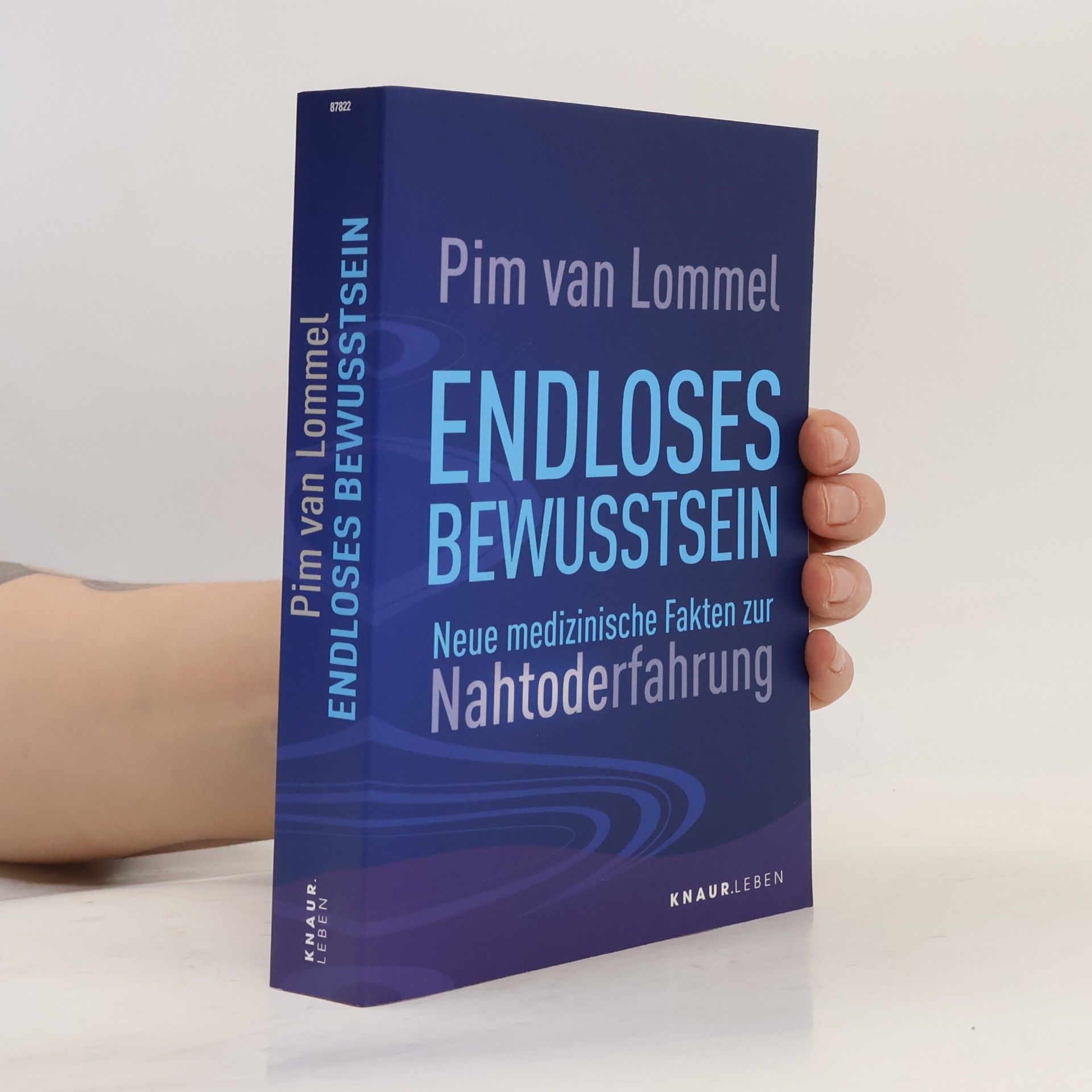 Pim van Lommel Endloses Bewusstsein