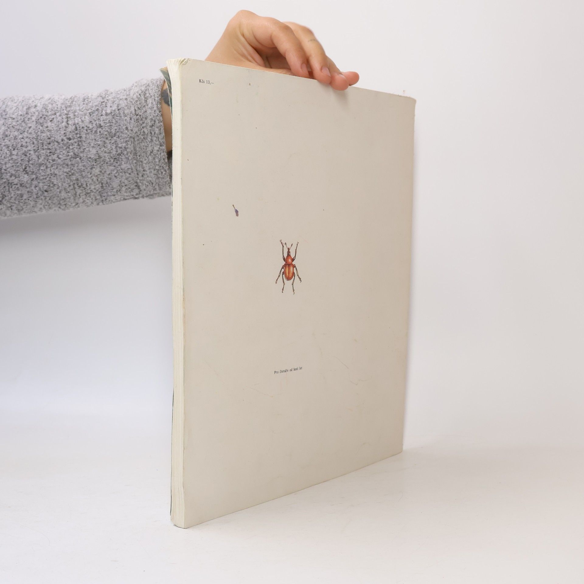 Vitalij Tanasijčuk Entomologie v obrázcích