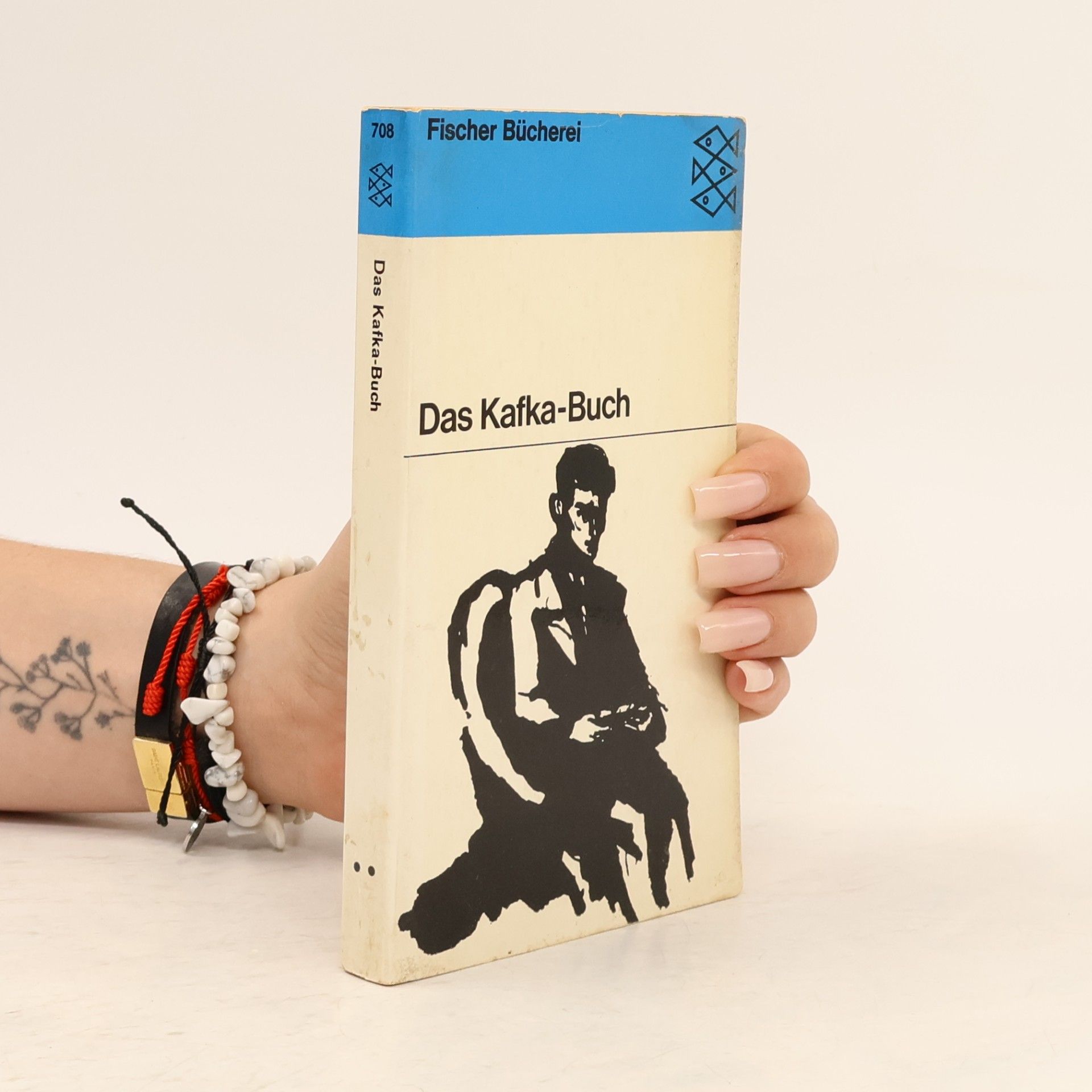 Franz Kafka Das Kafka-Buch