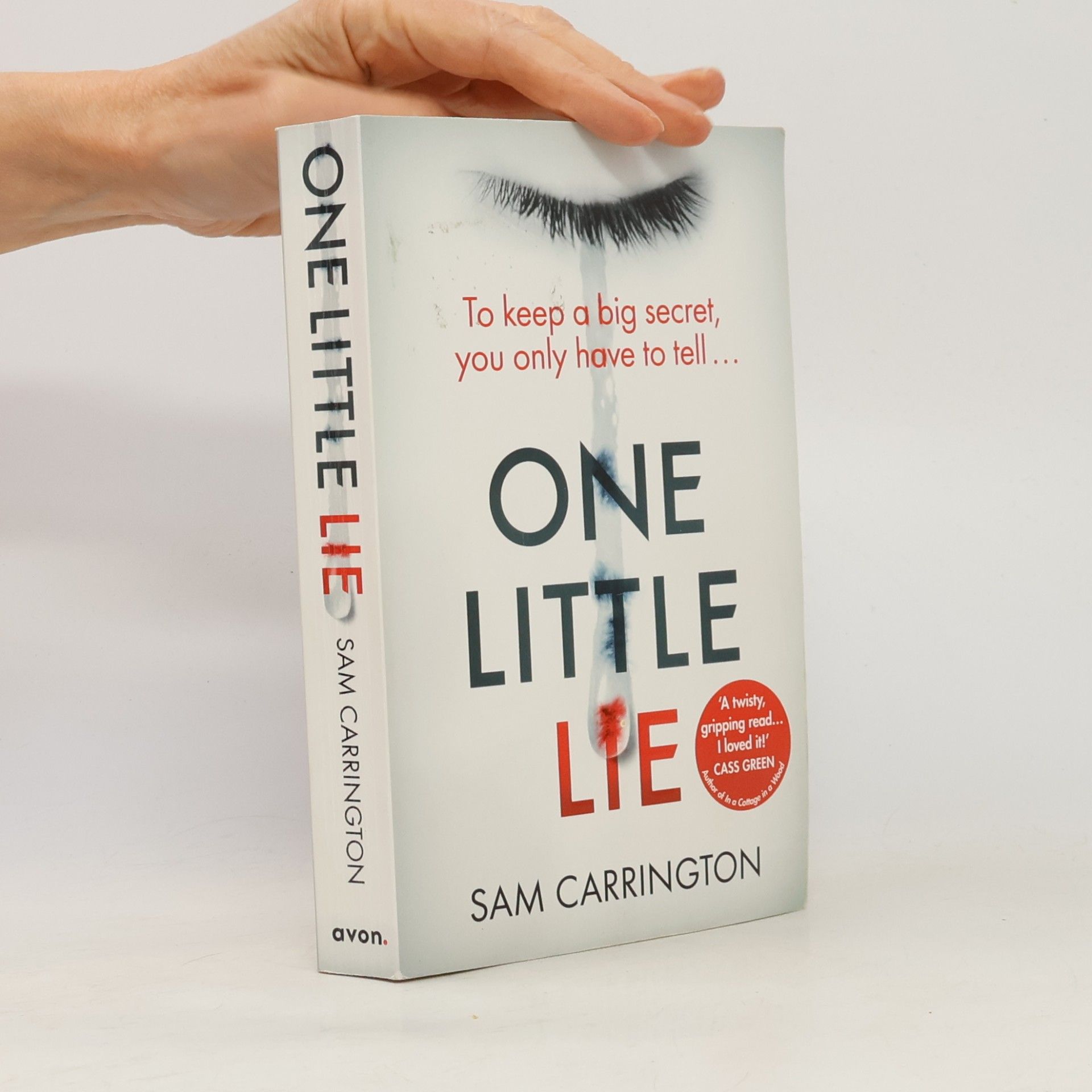 Sam Carrington One Little Lie