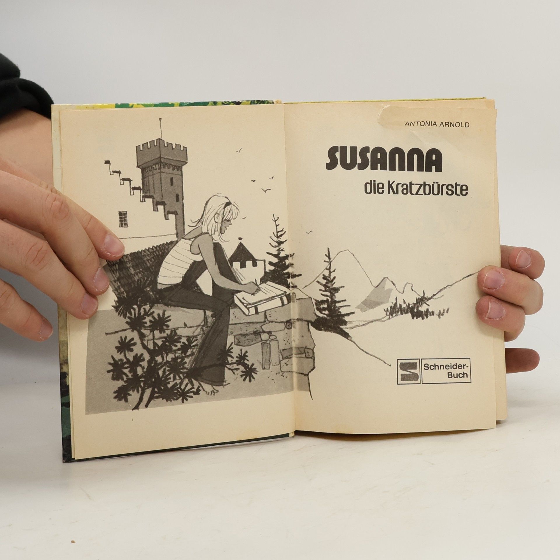 Antonia Arnold Susanna, die Kratzbürste