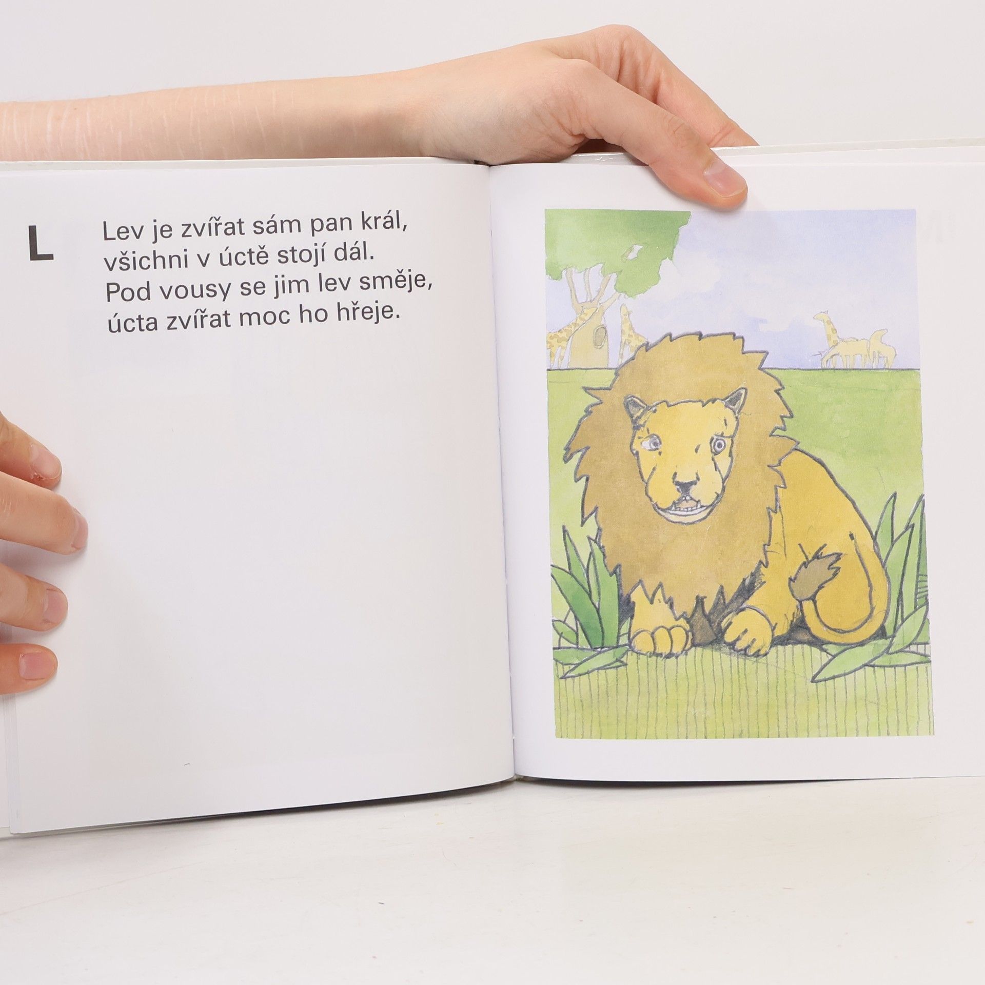 Kolektiv autorů Inkoustová písmenka