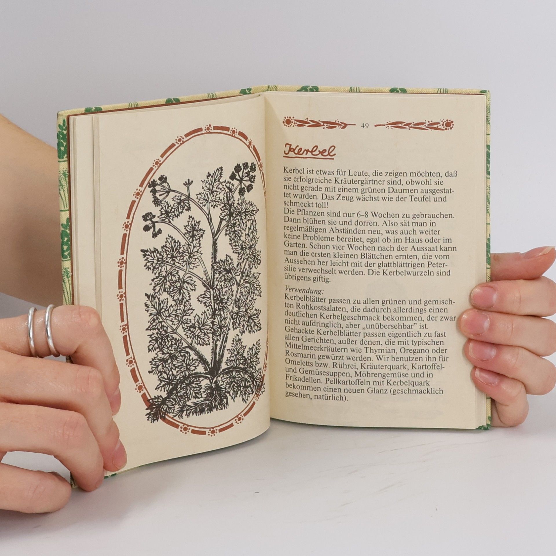 kolektiv Das kleine Buch der Küchen-kräuter