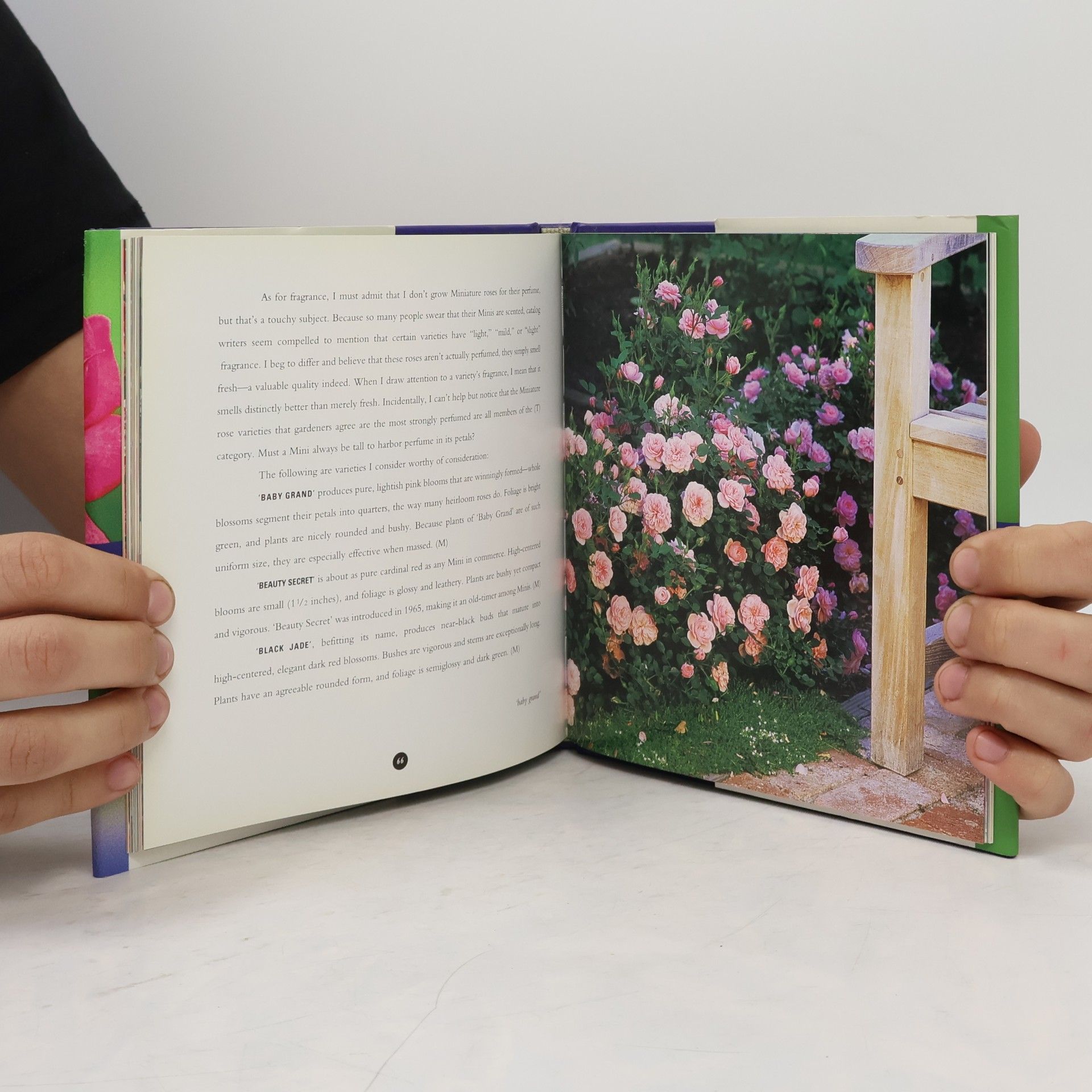 Rayford Clayton Reddell Roses Guidebooks: Miniature Roses