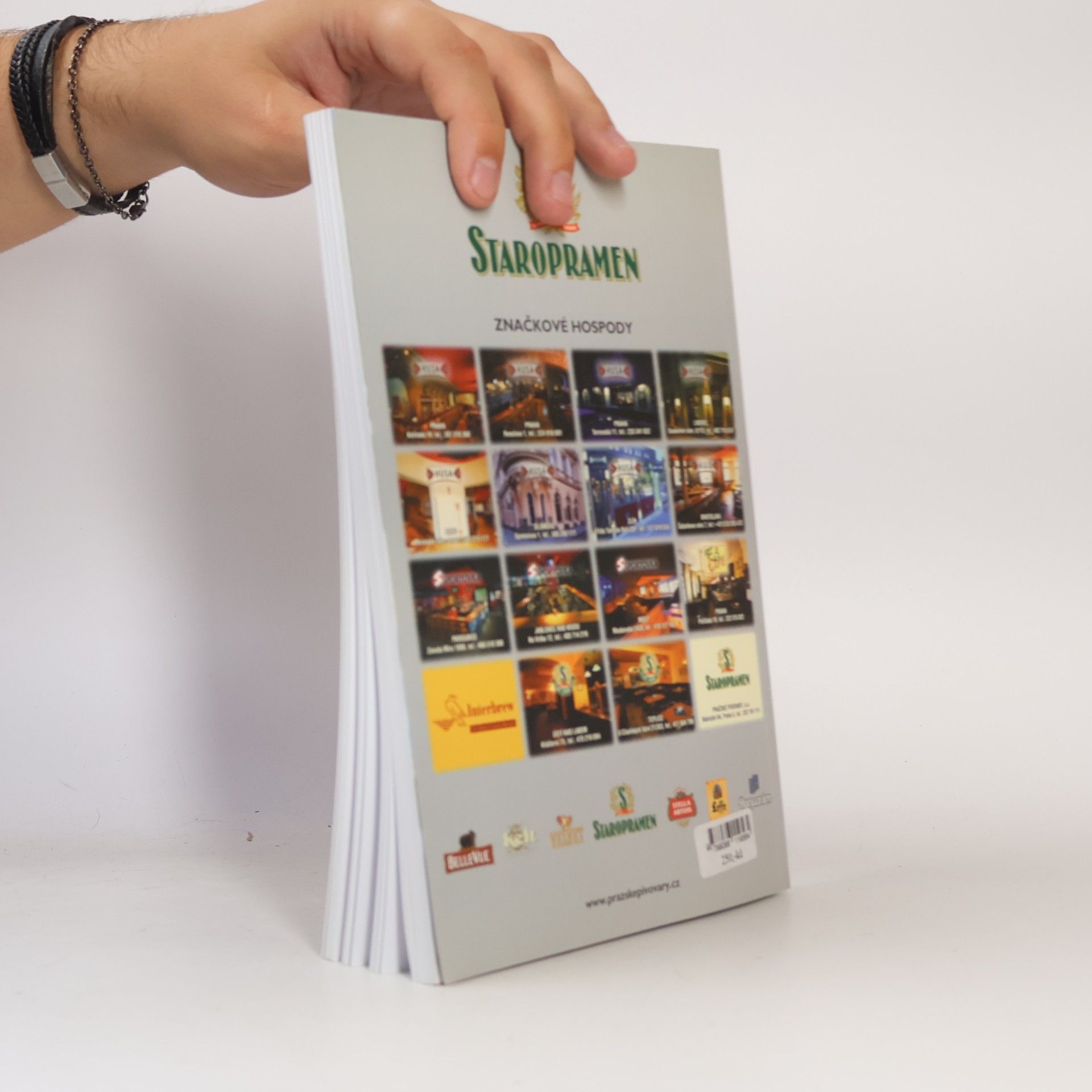 Alžbeta Kiráľová Marketing. Destinace cestovního ruchu