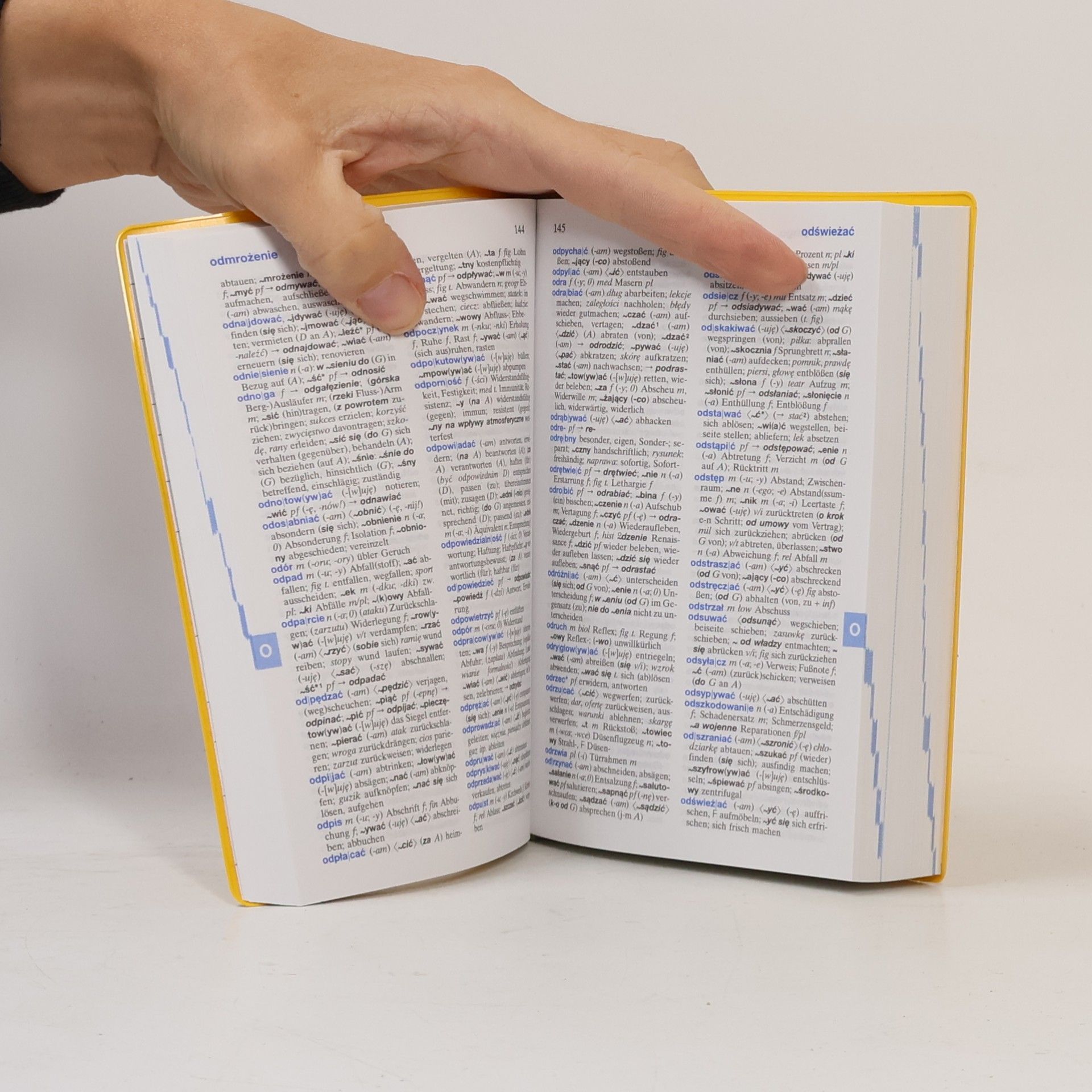 Stanisřaw Walewski Langenscheidt, Euro-Wörterbuch Polnisch