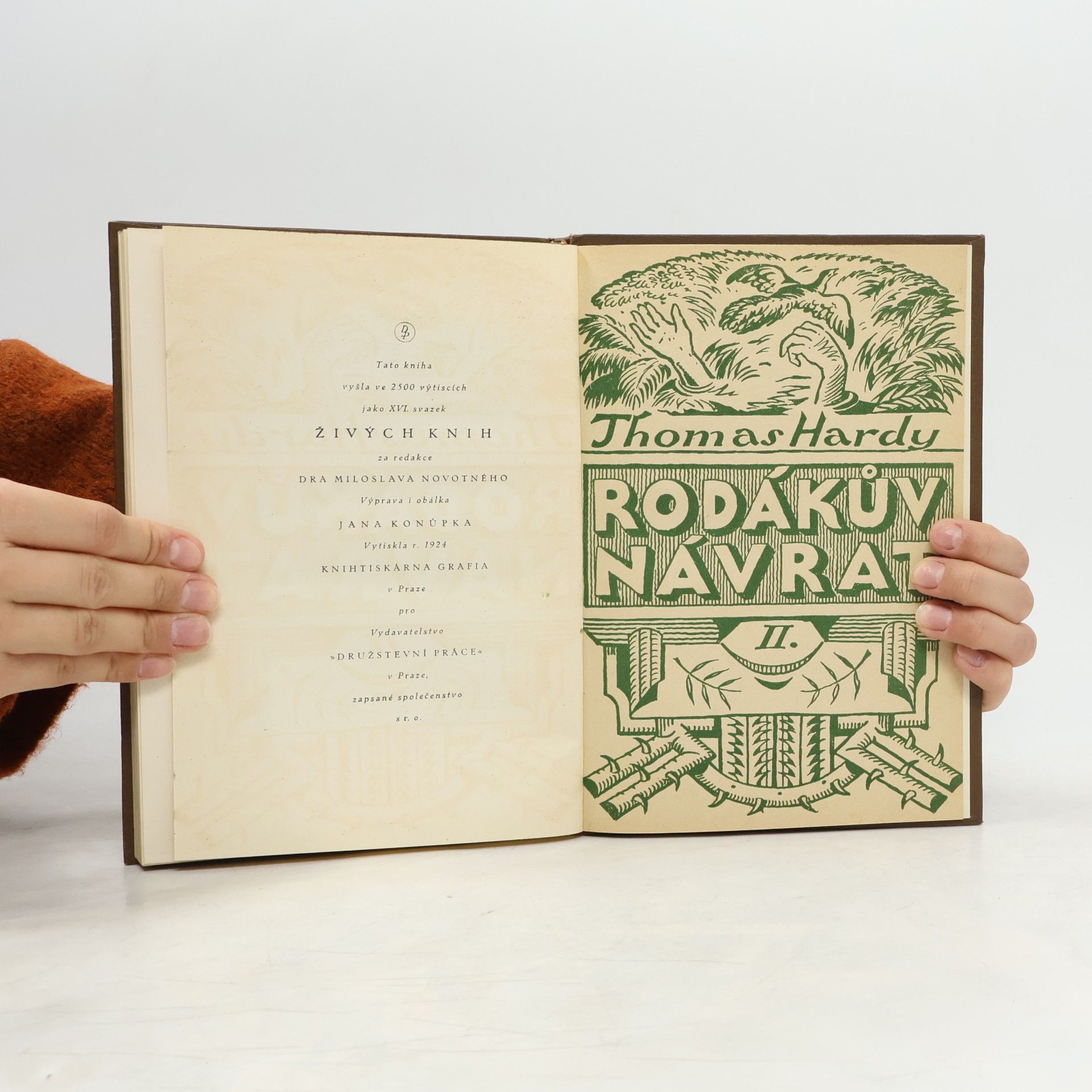 Thomas Hardy Rodákův návrat