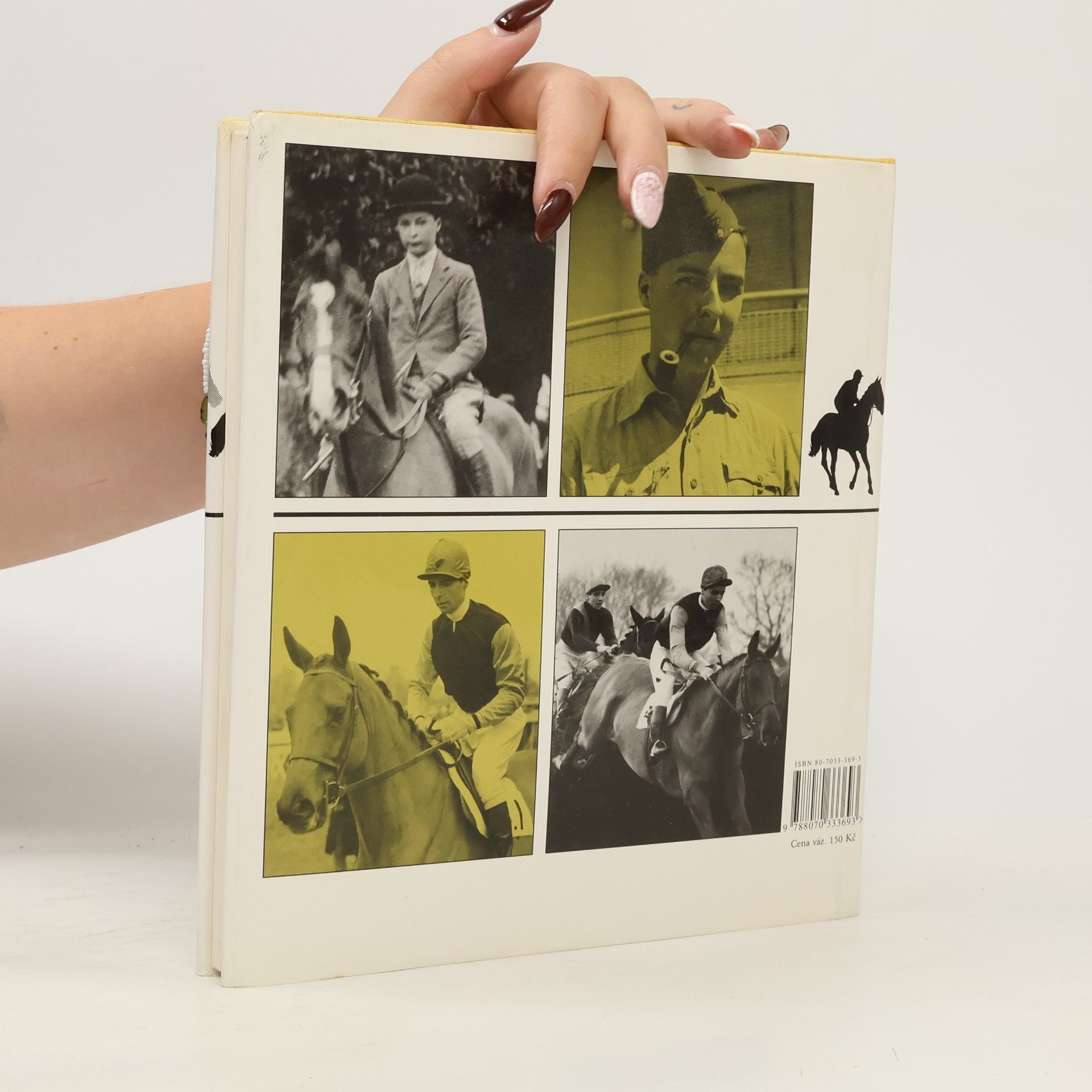 Bryony Fuller Dick Francis: žokej steeplechase
